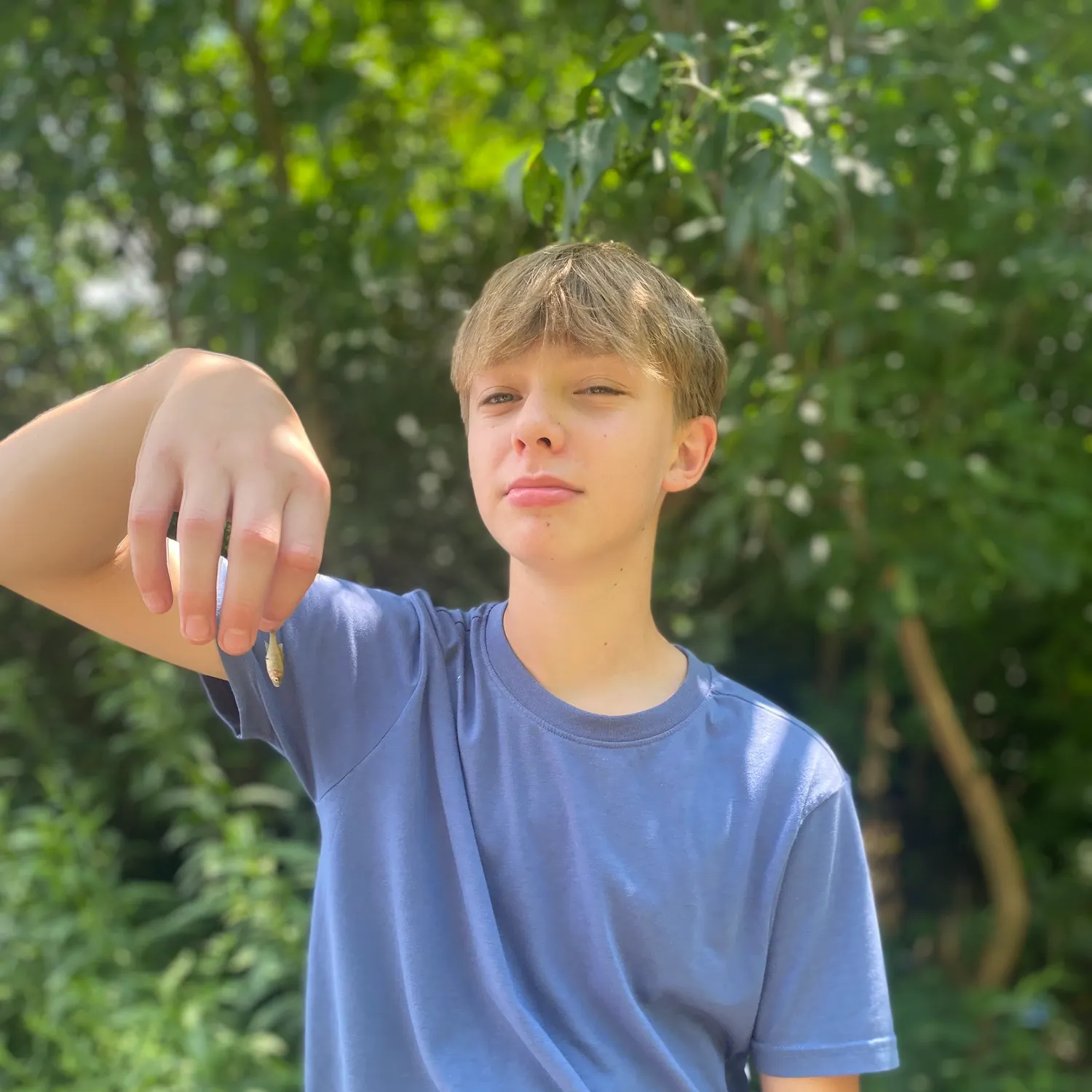 The most recent Brassy minnow catches on Fishbrain