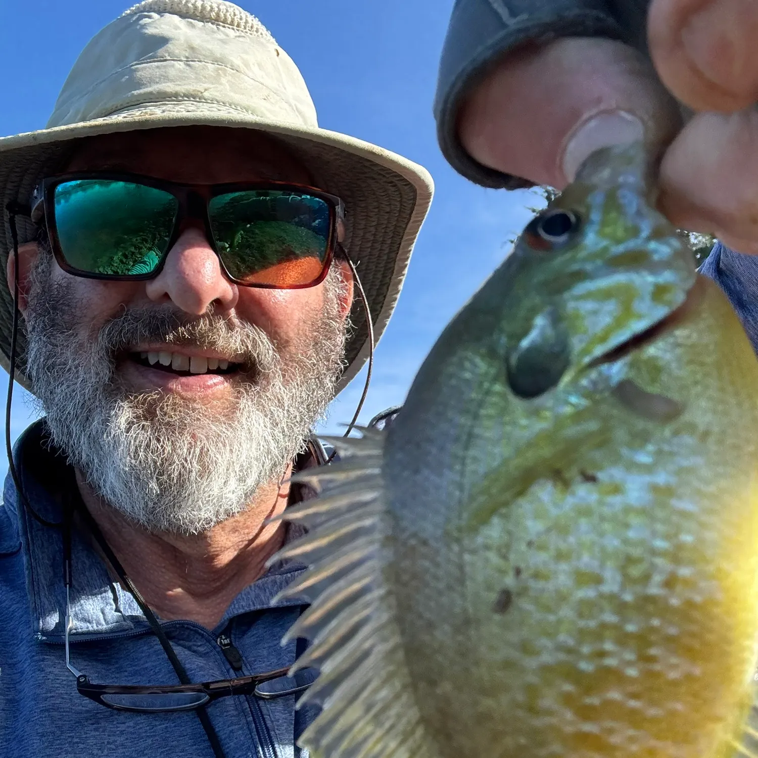 The most recent Bluegill catches on Fishbrain