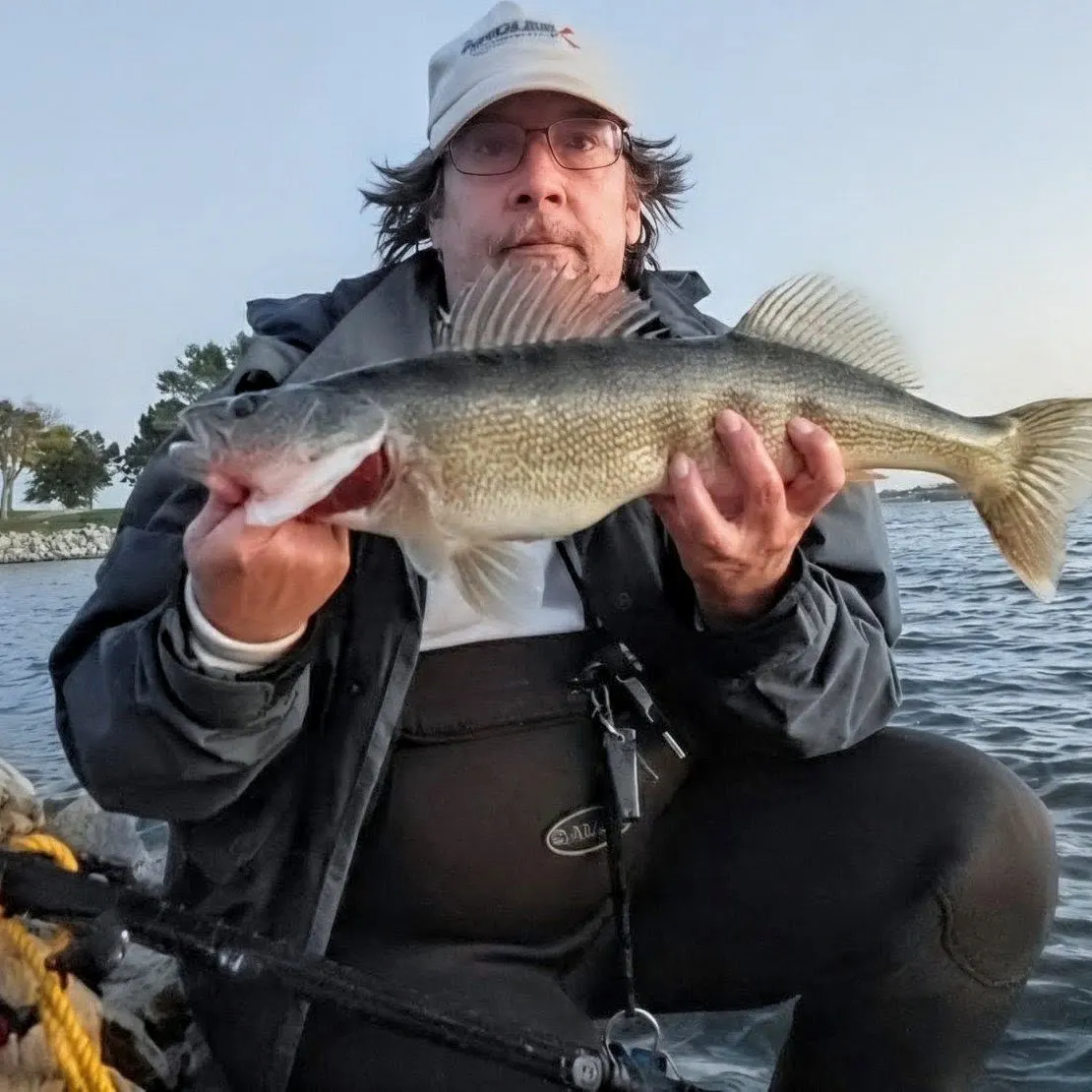Walleye caught on Fishbrain