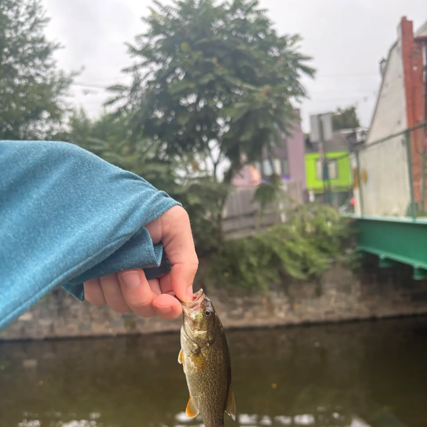 catch