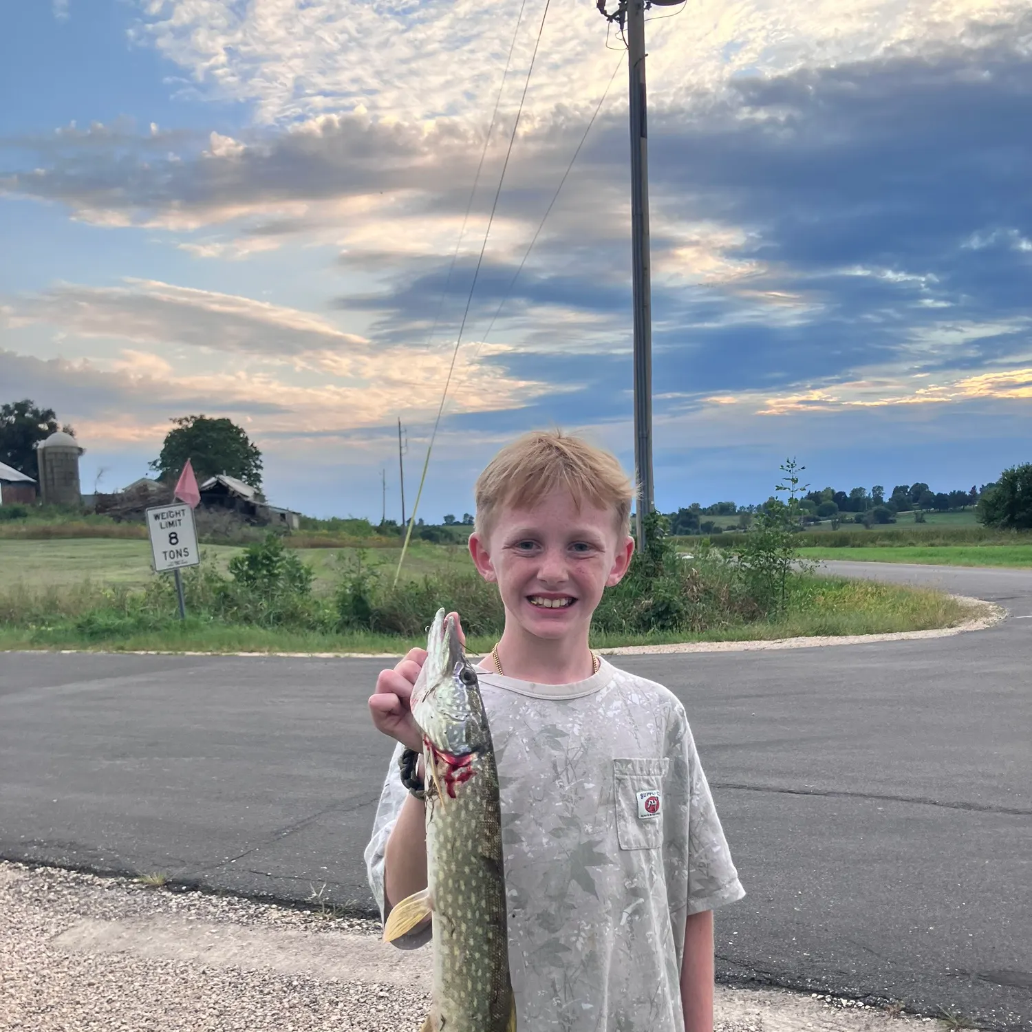 Northern pike caught on Fishbrain