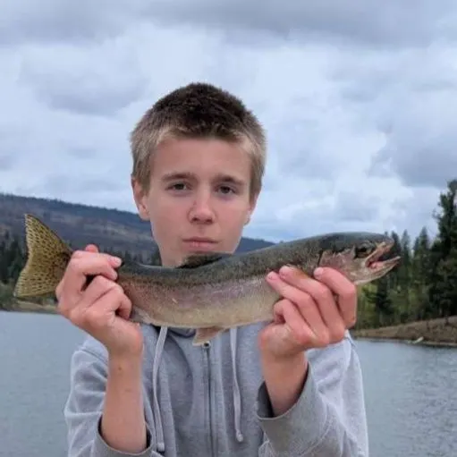 Rainbow trout caught on Fishbrain