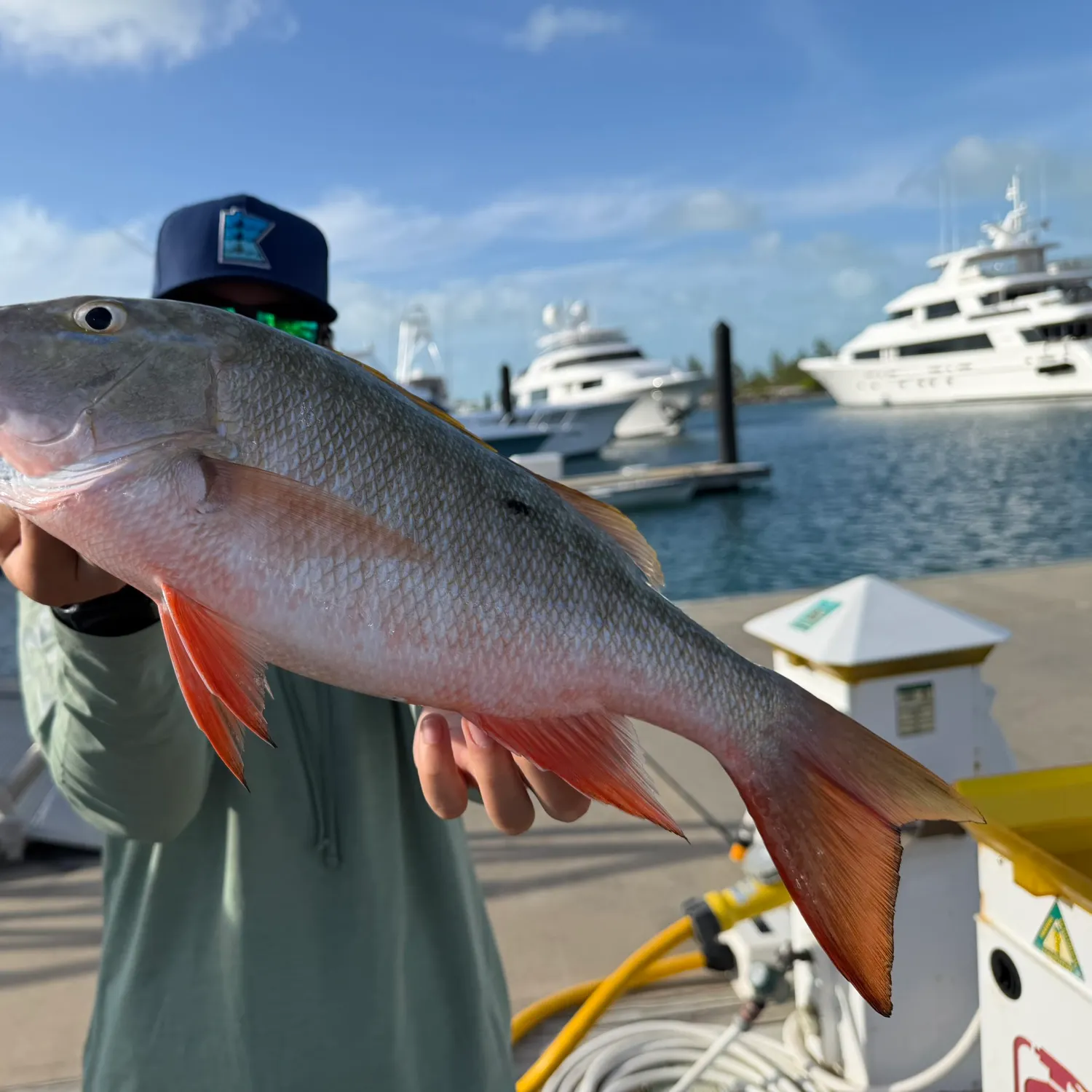 The most recent Mutton snapper catches on Fishbrain