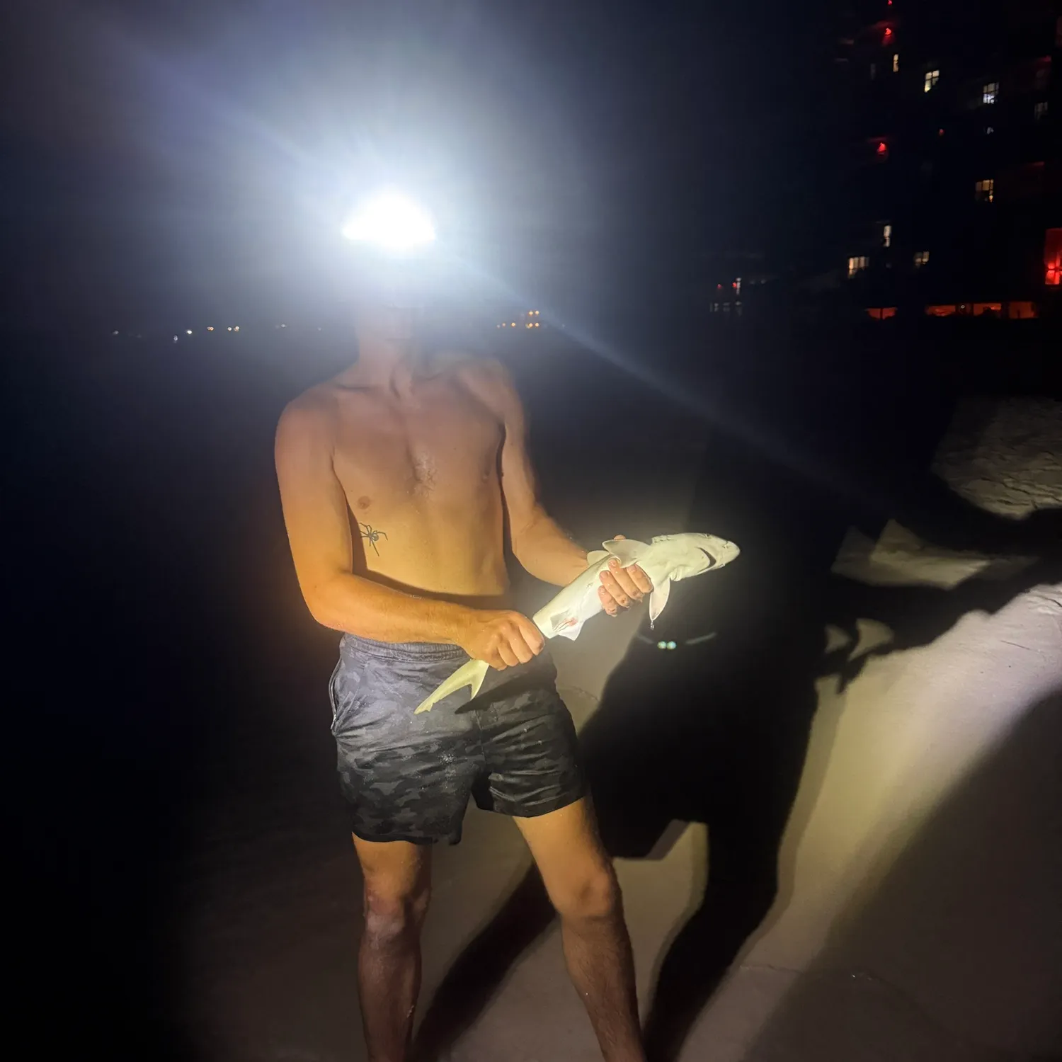 The most recent Atlantic sharpnose shark catches on Fishbrain