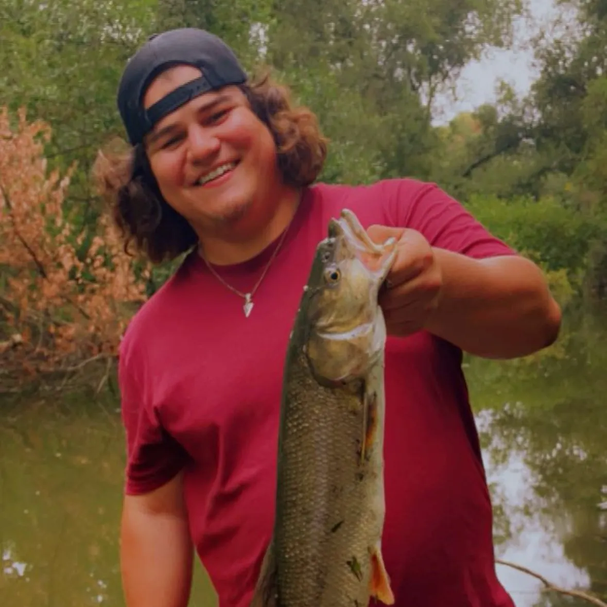 The most recent Sacramento pikeminnow catches on Fishbrain