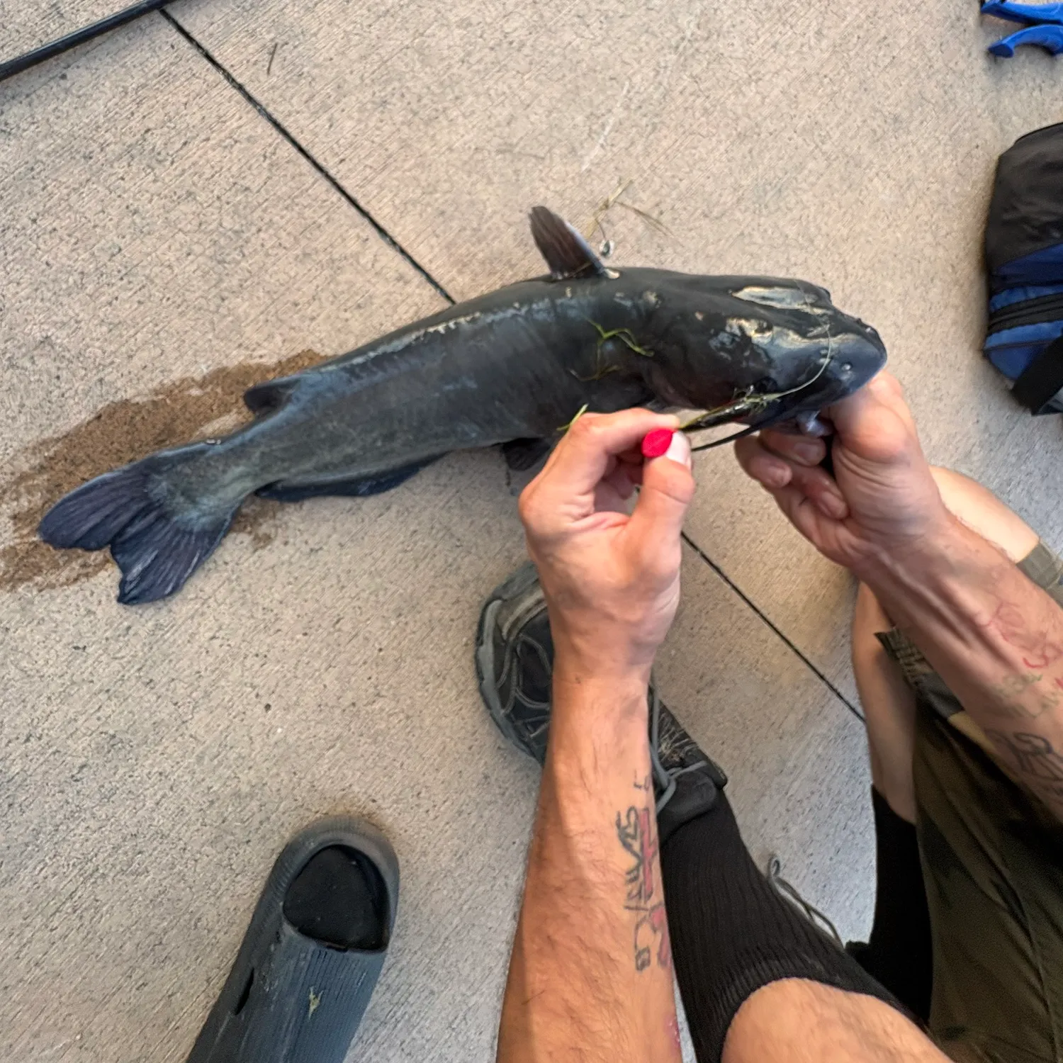 catch