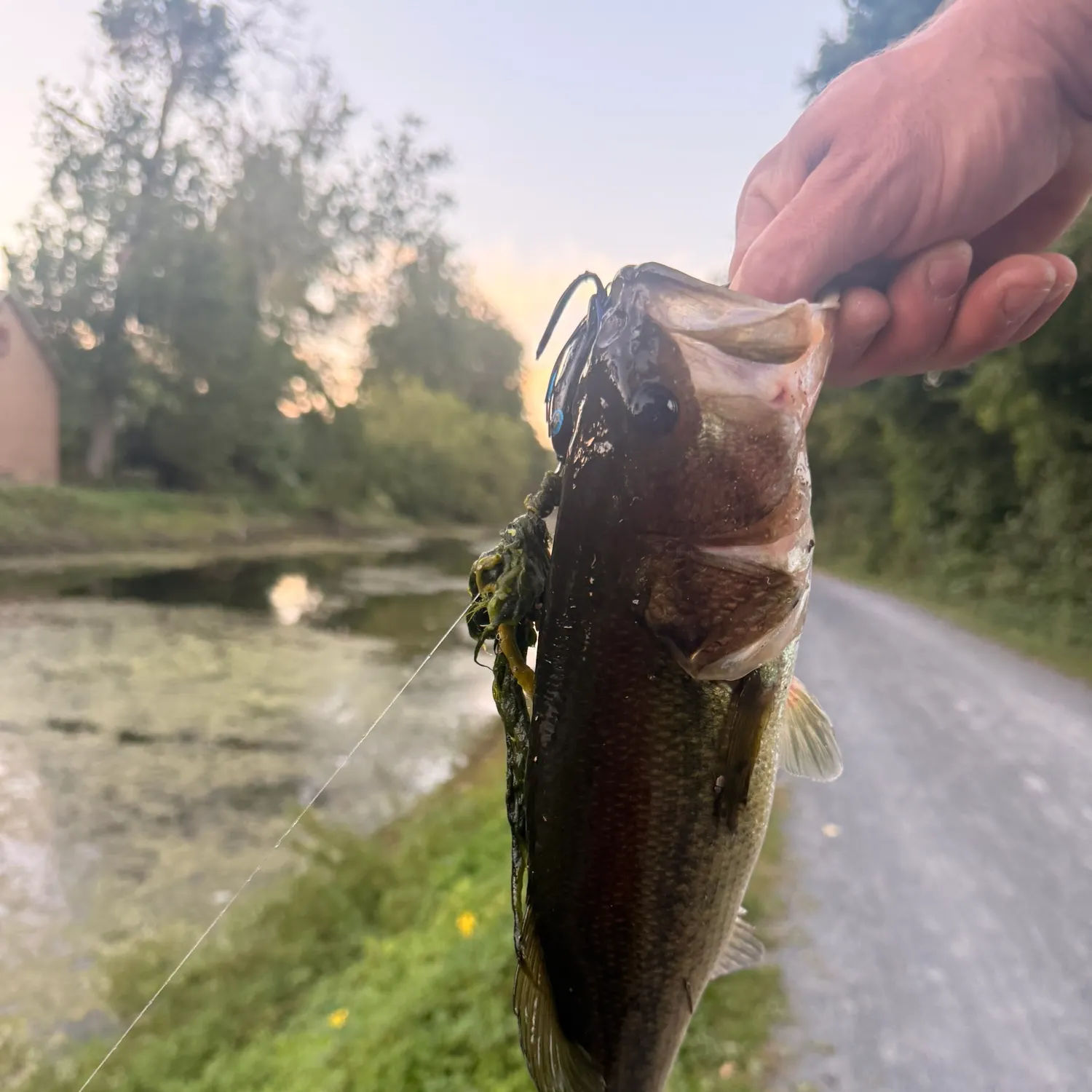 catch
