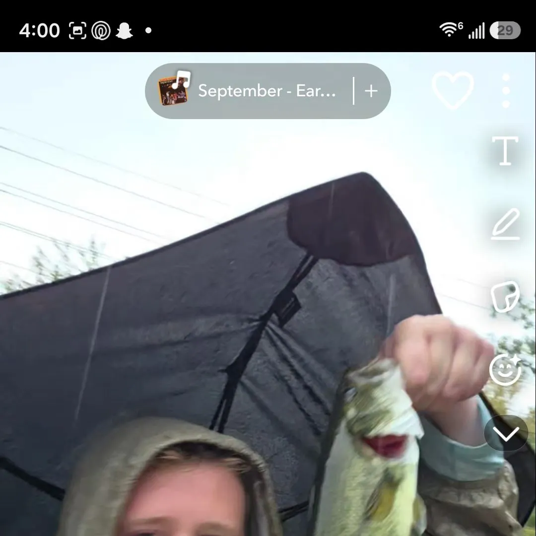 Largemouth bass caught on Fishbrain