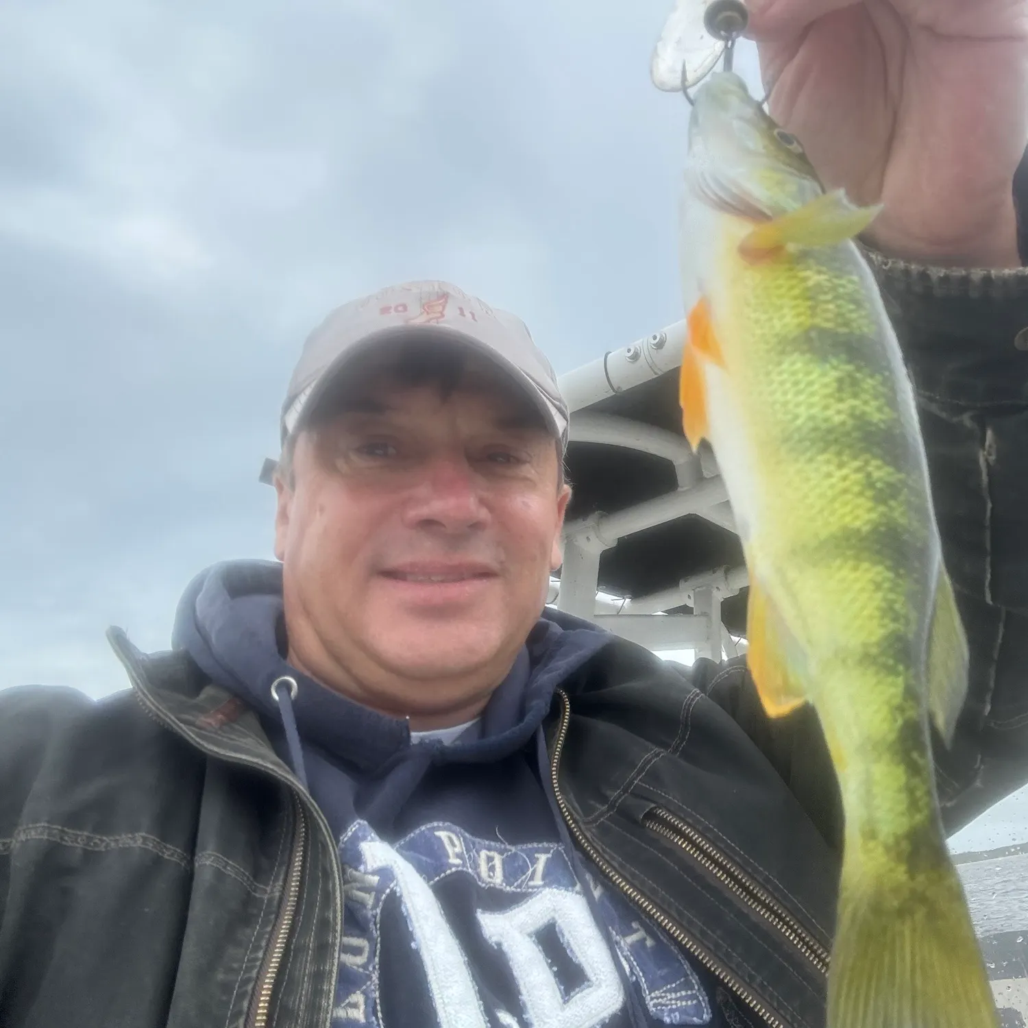 Yellow perch caught on Fishbrain