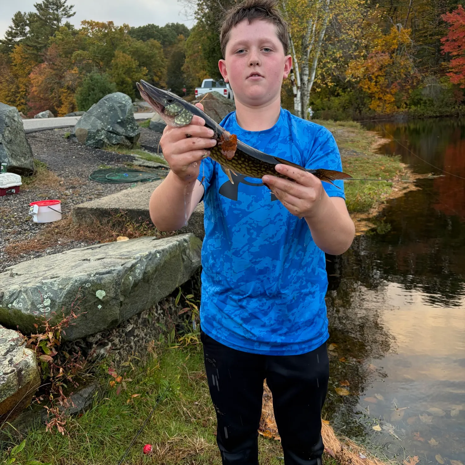 Chain pickerel caught on Fishbrain