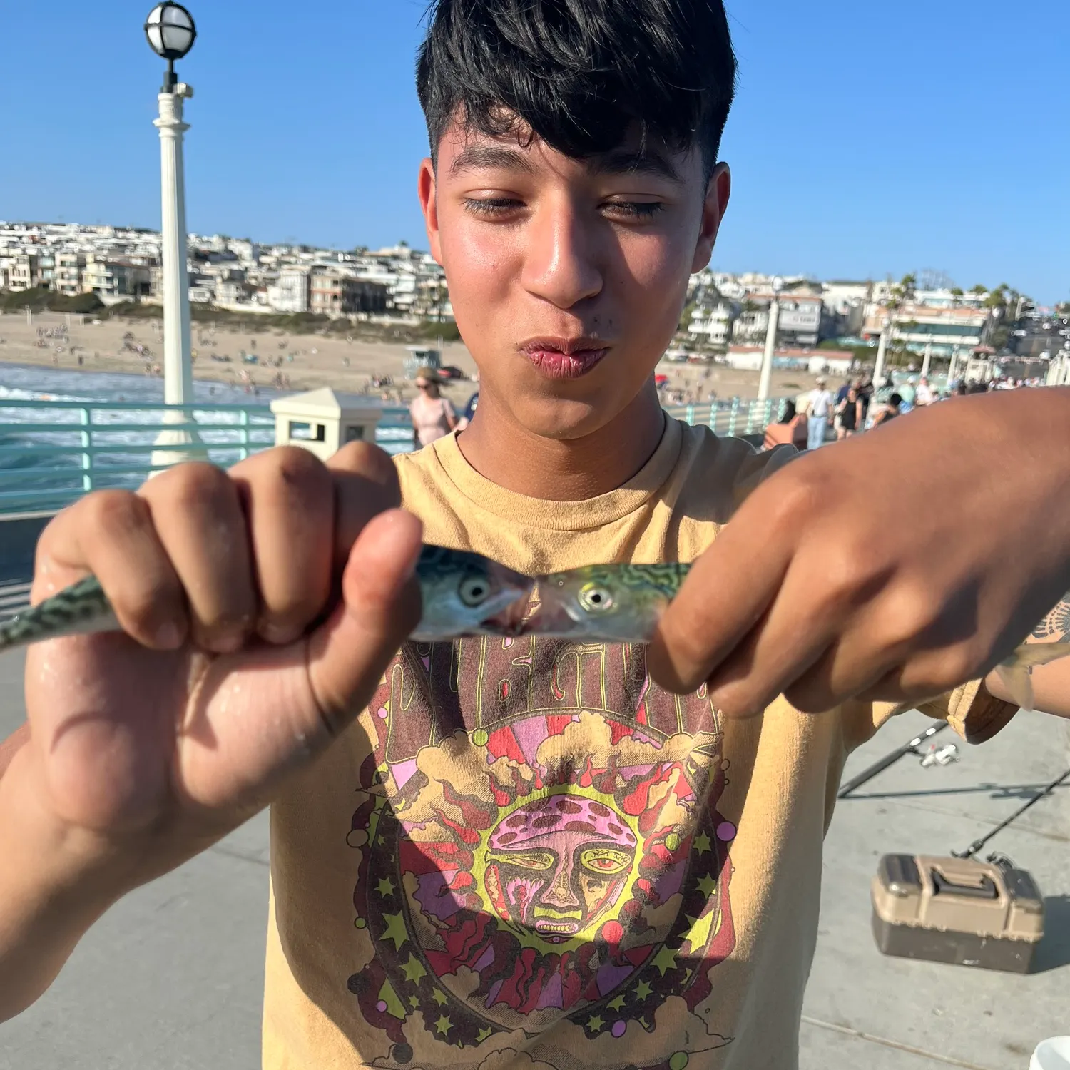 The most recent Pacific chub mackerel catches on Fishbrain