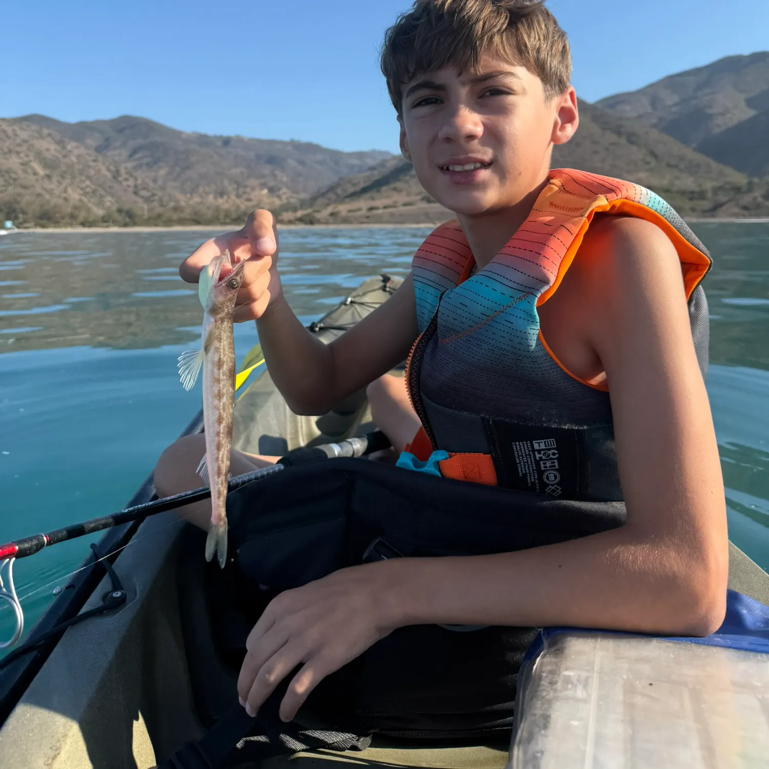 The most recent Inshore lizardfish catches on Fishbrain