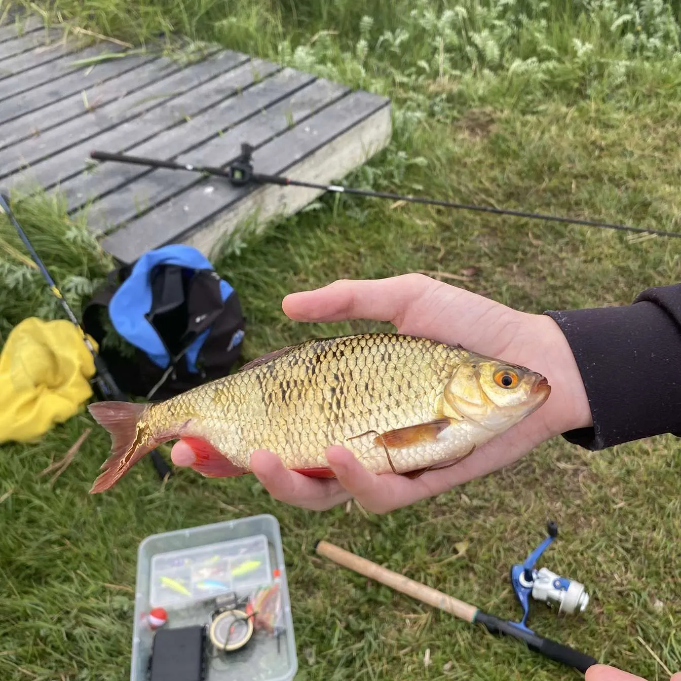 most liked catch image