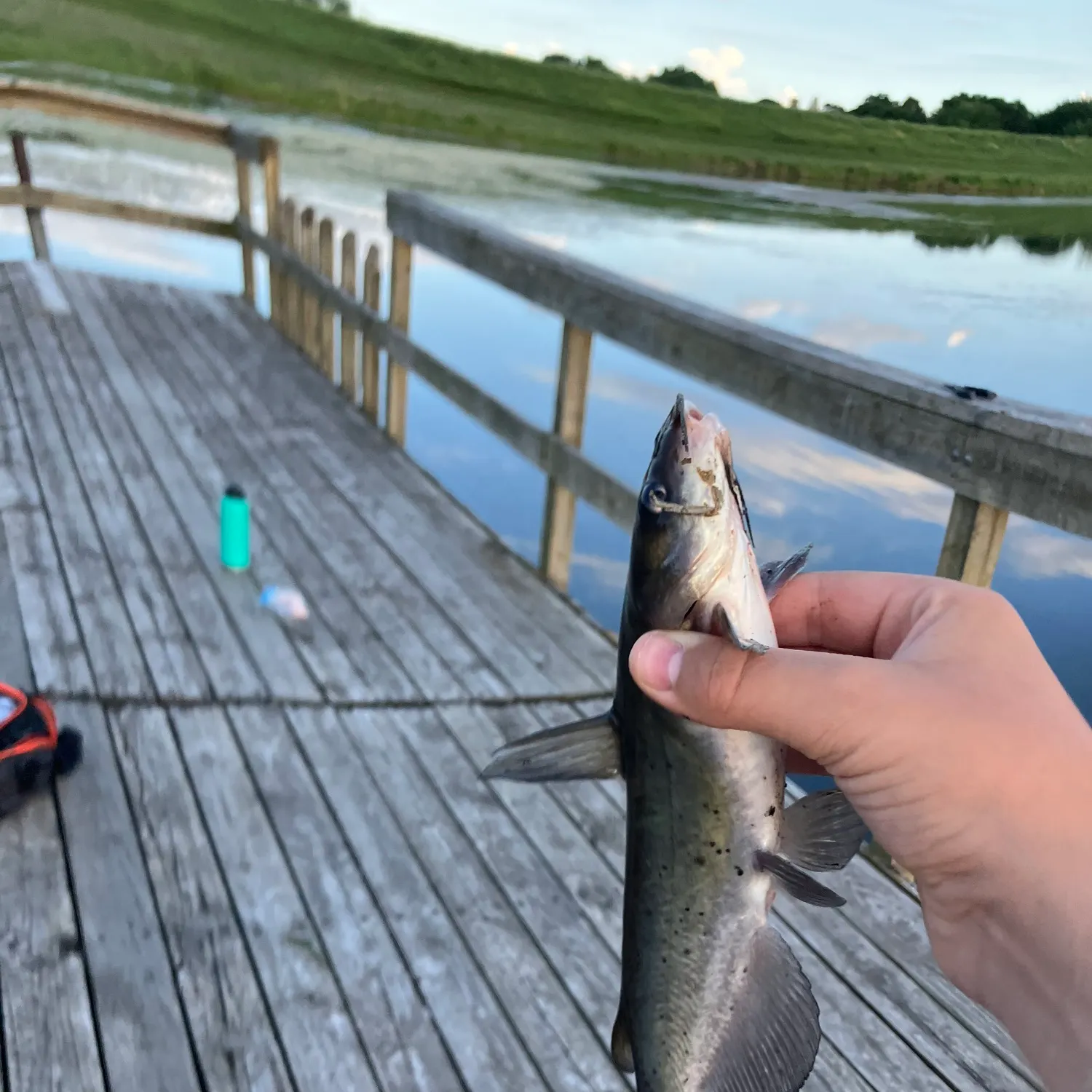 catch