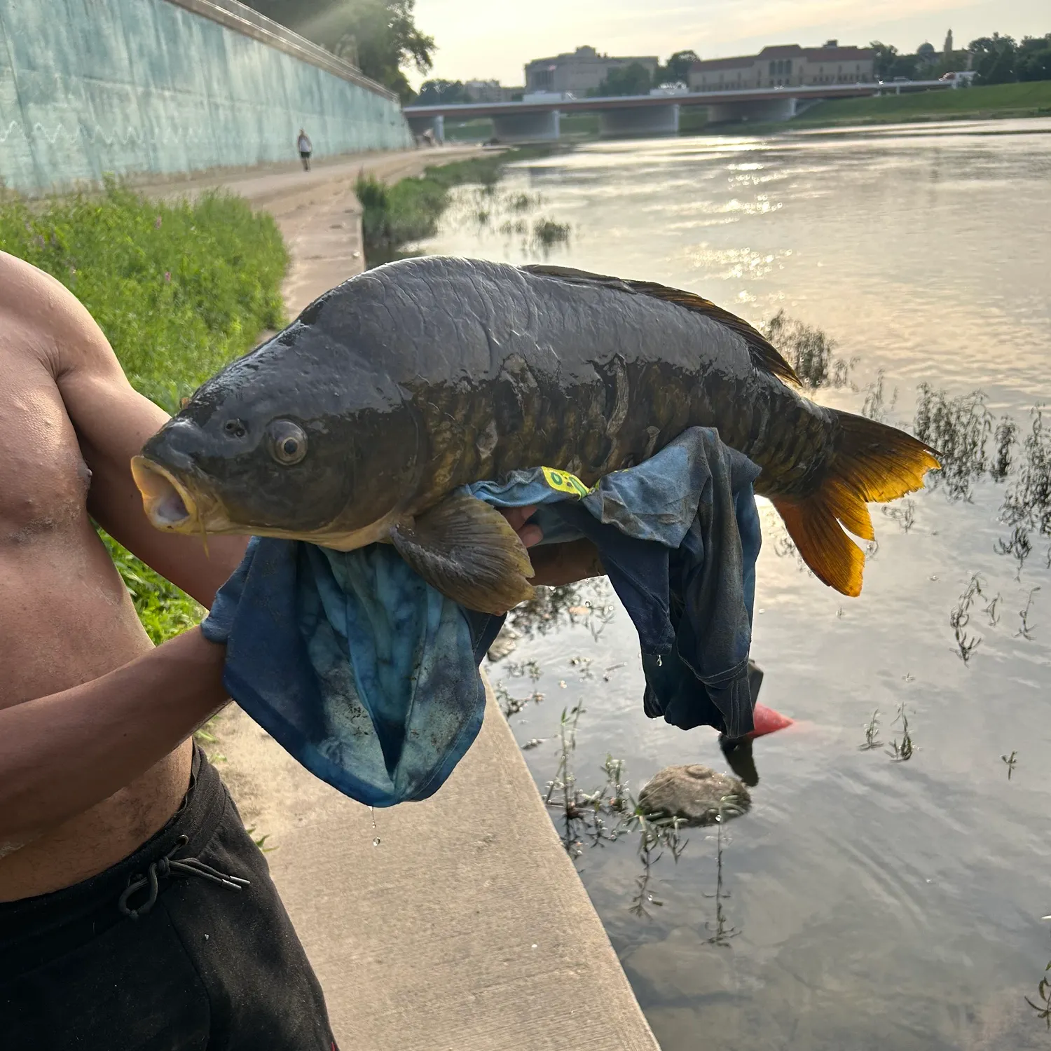 catch