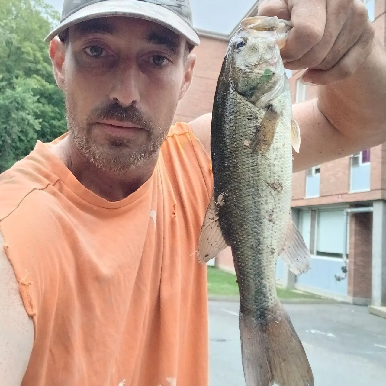 The most recent Largemouth bass catches on Fishbrain