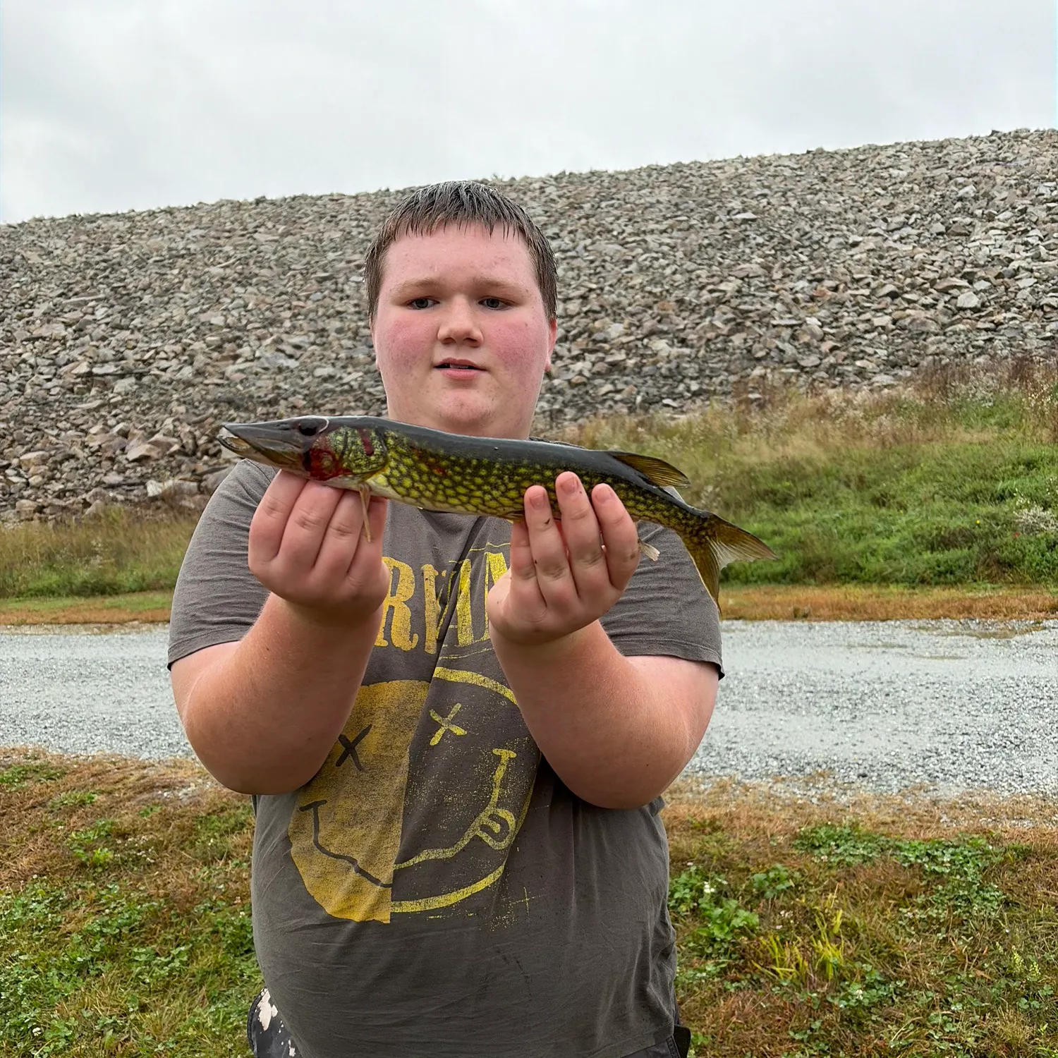 Chain pickerel caught on Fishbrain