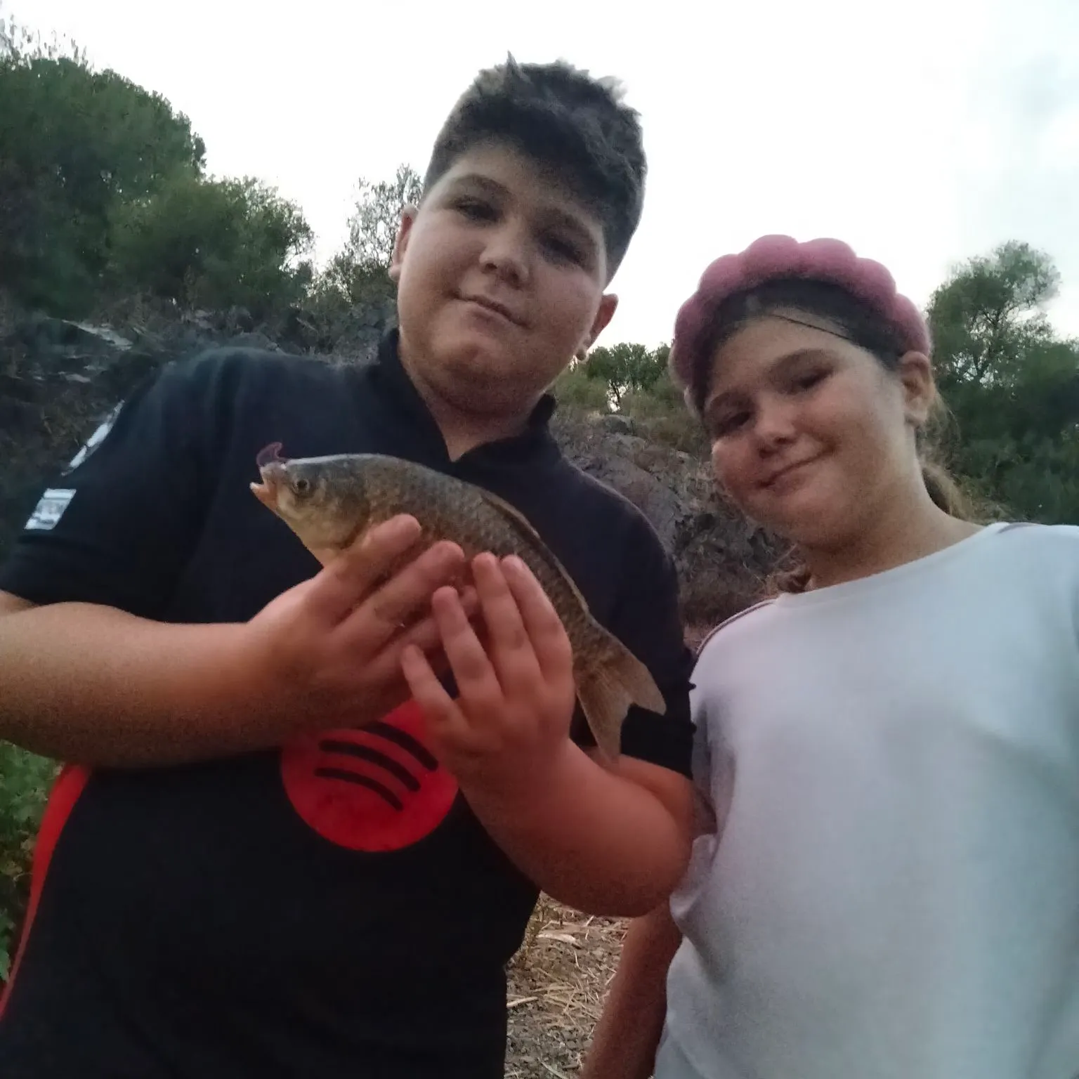 Common carp caught on Fishbrain