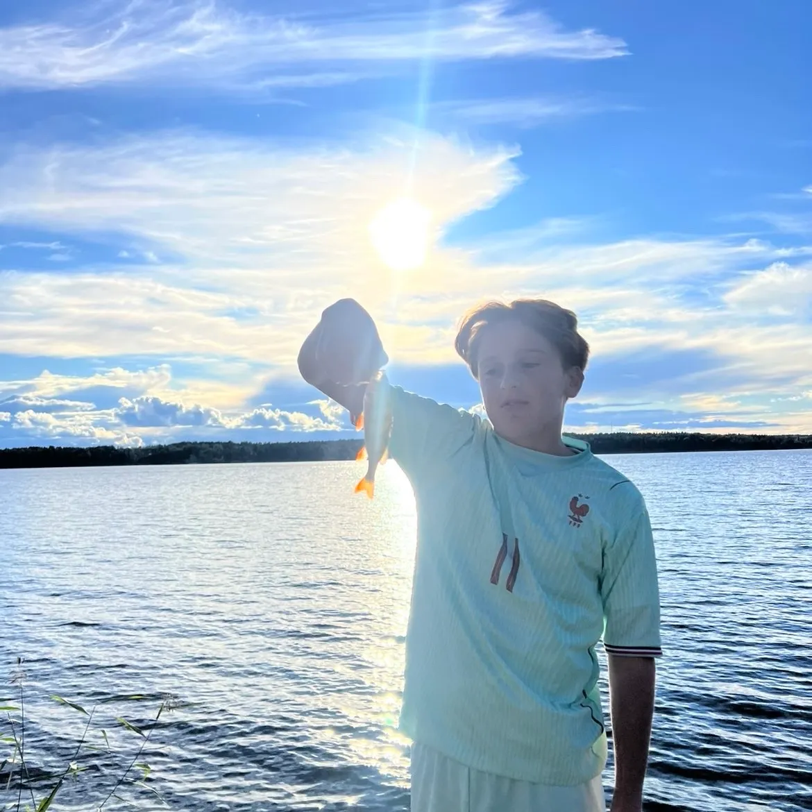 European perch caught on Fishbrain