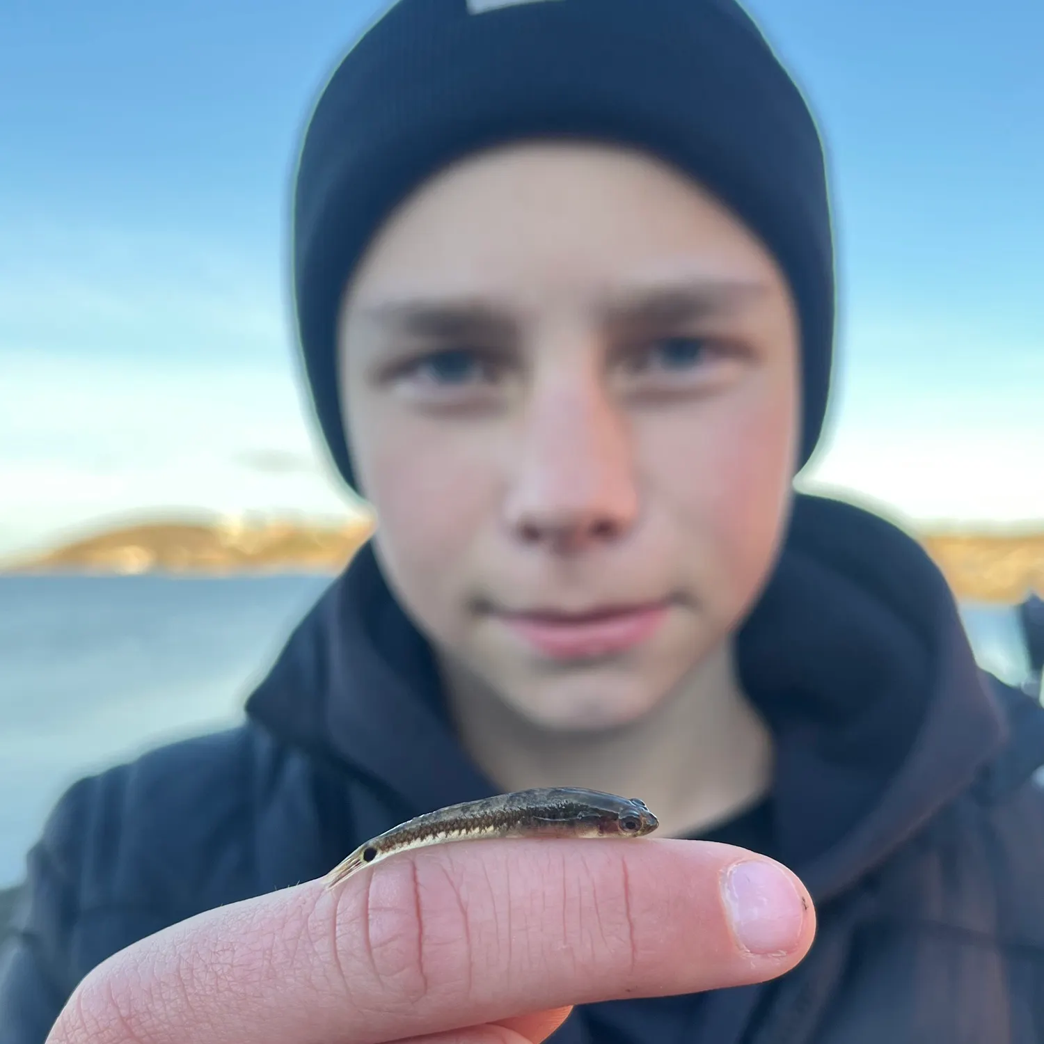 The most recent Two-spotted goby catches on Fishbrain