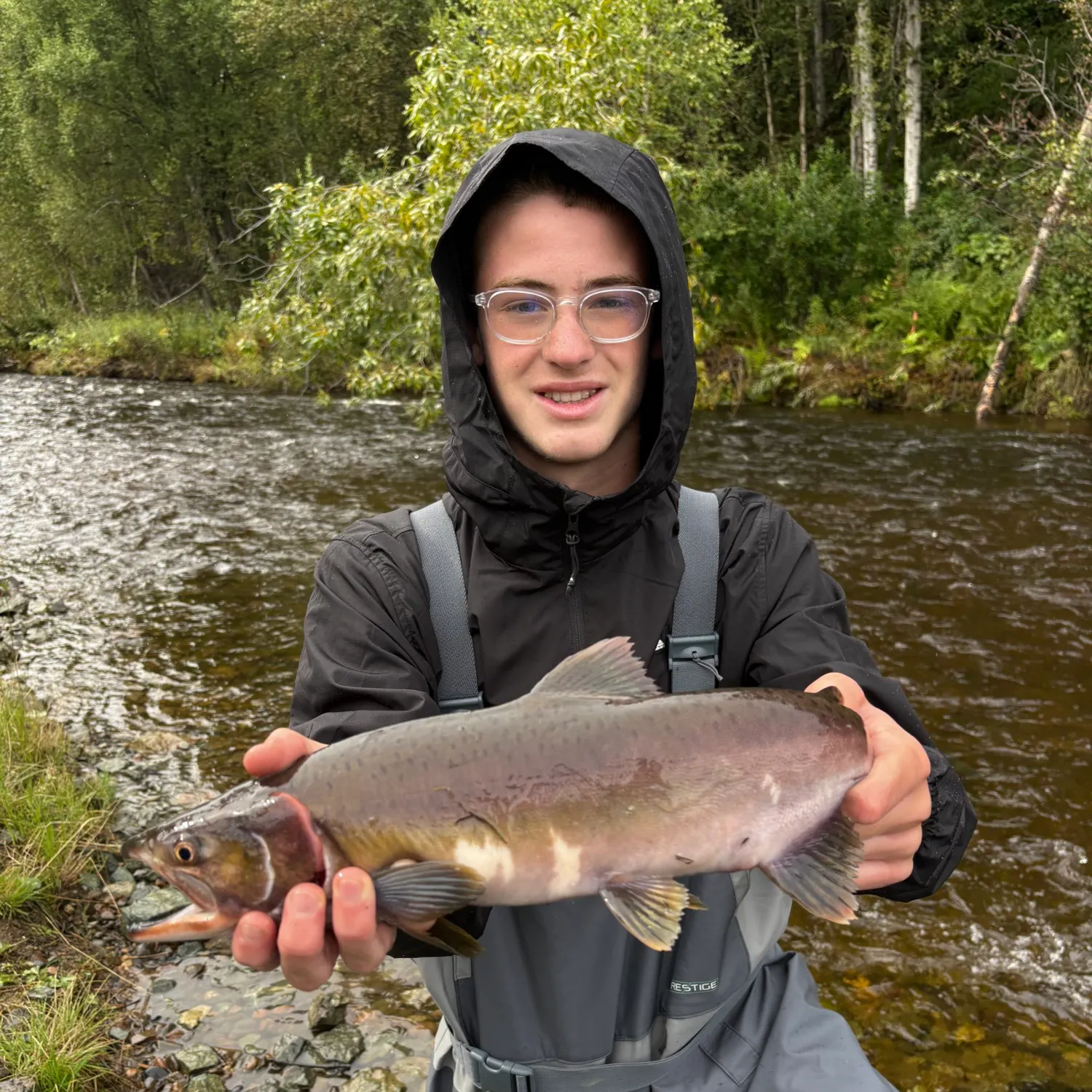 Chum salmon caught on Fishbrain