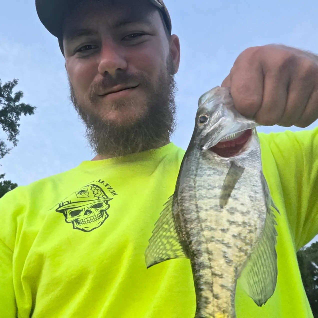 White crappie caught on Fishbrain
