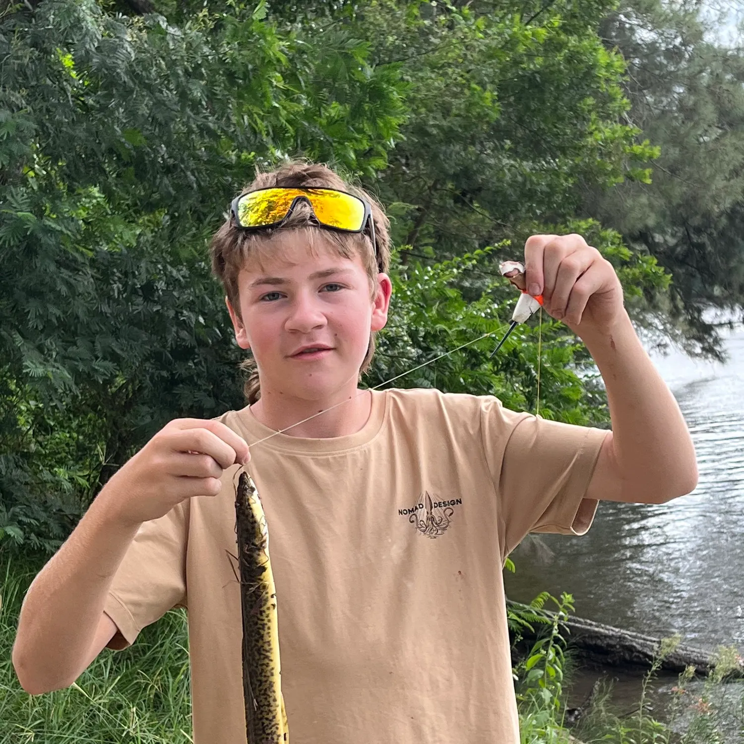 The most recent Shortfin eel catches on Fishbrain