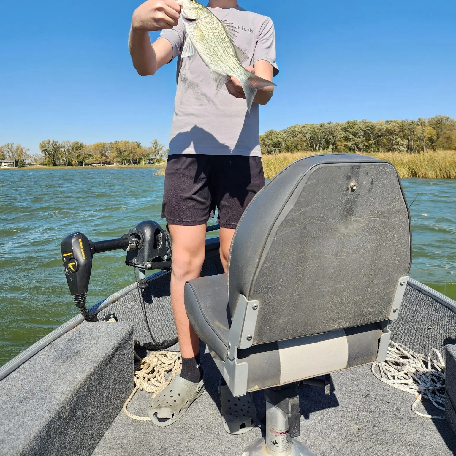 White bass caught on Fishbrain