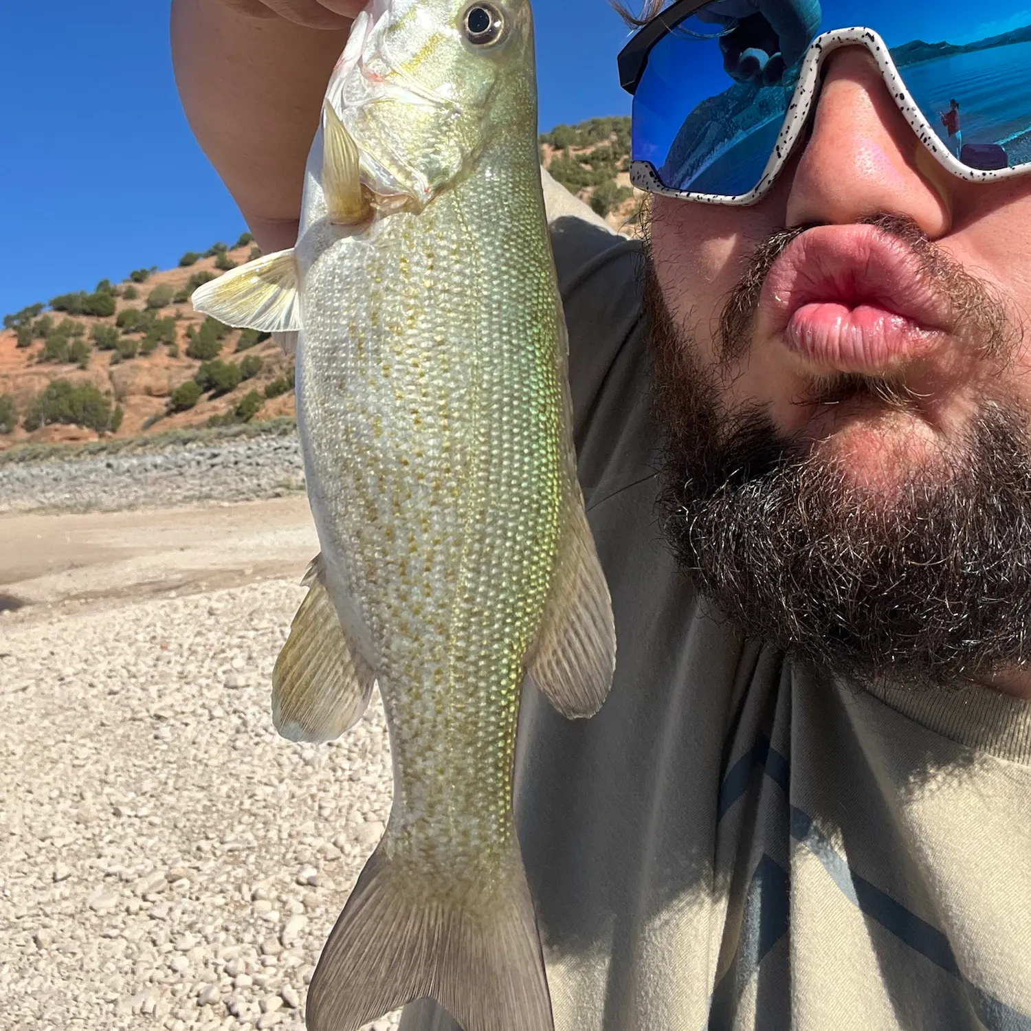 Smallmouth bass caught on Fishbrain