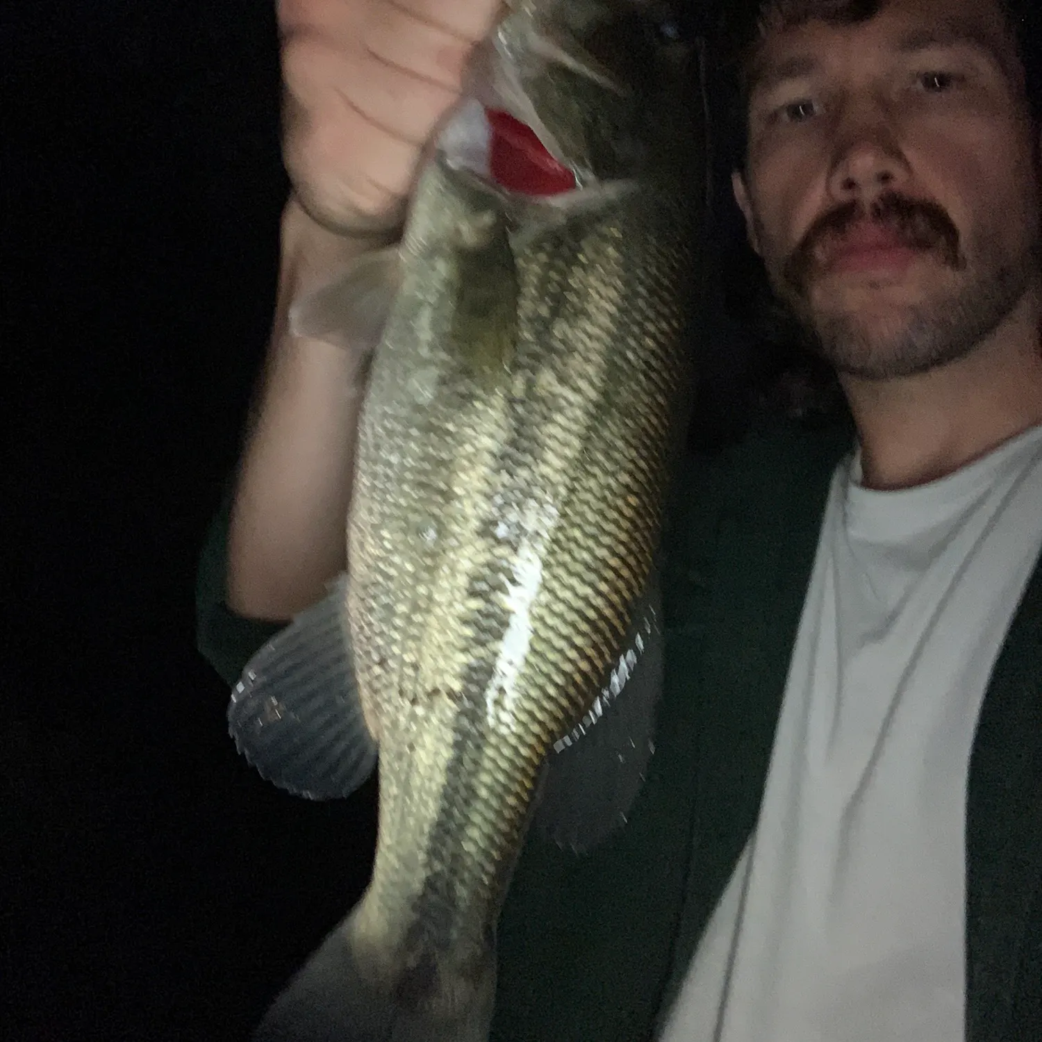 Largemouth bass caught on Fishbrain