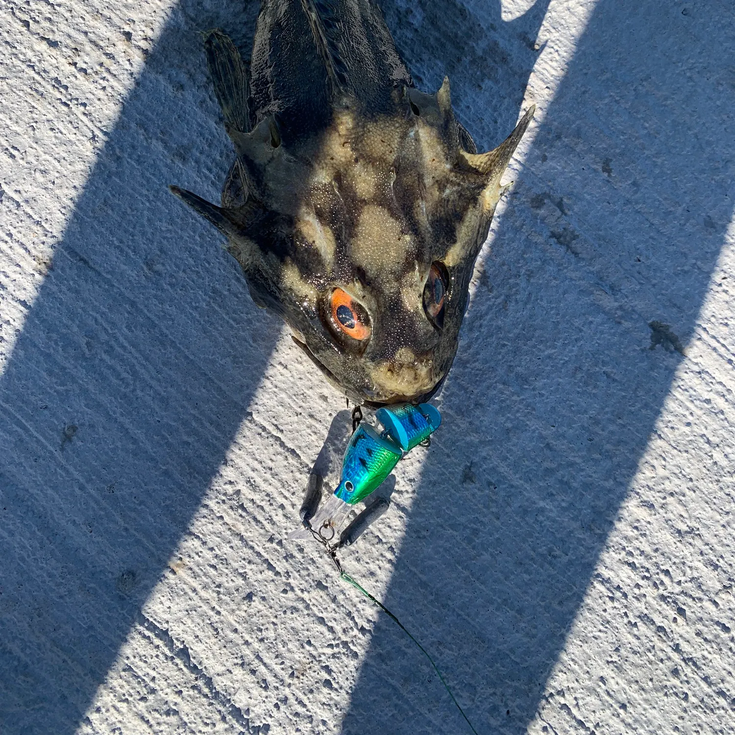 catch