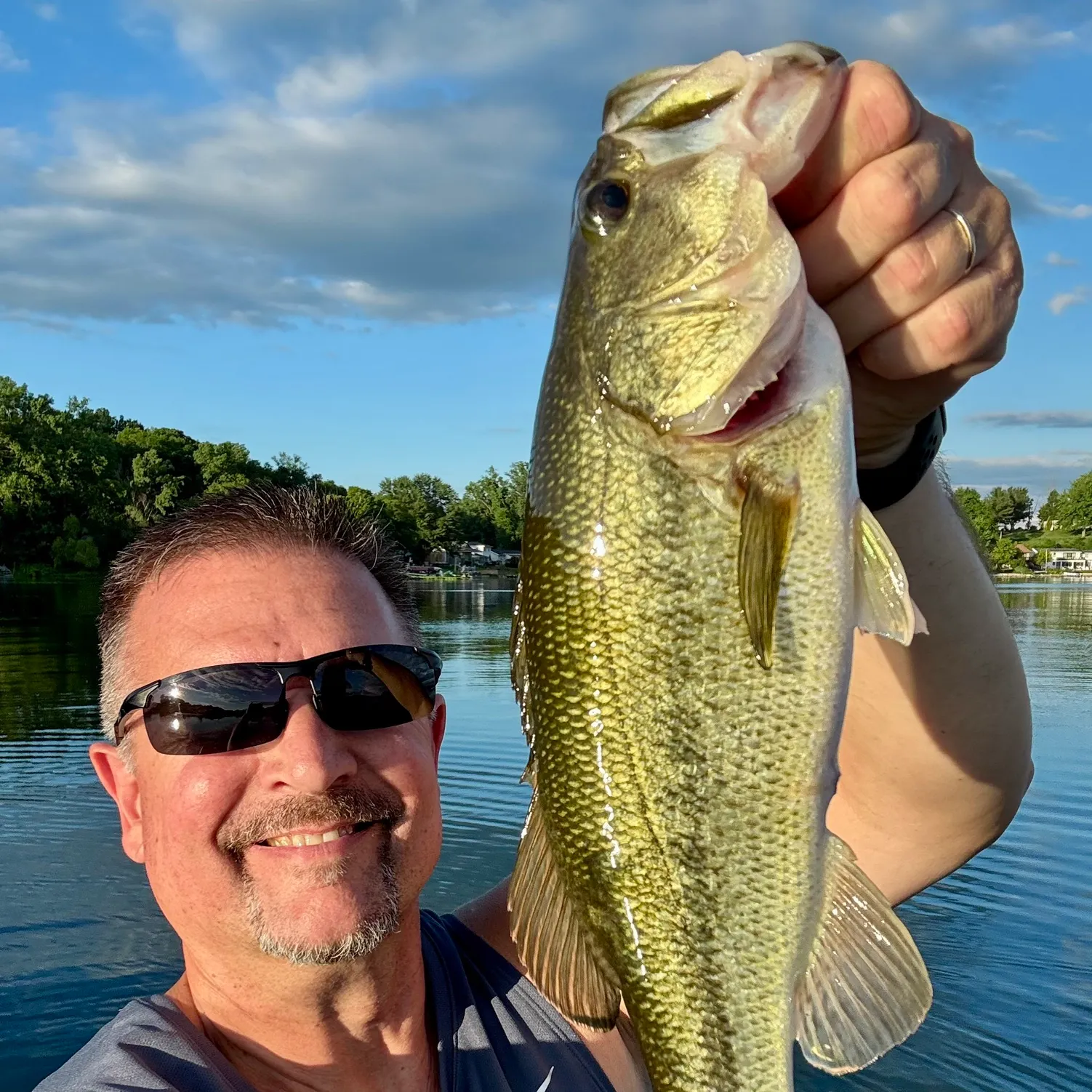The most recent Largemouth bass catches on Fishbrain