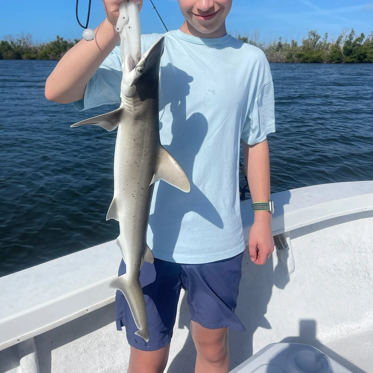 Bonnethead shark caught on Fishbrain