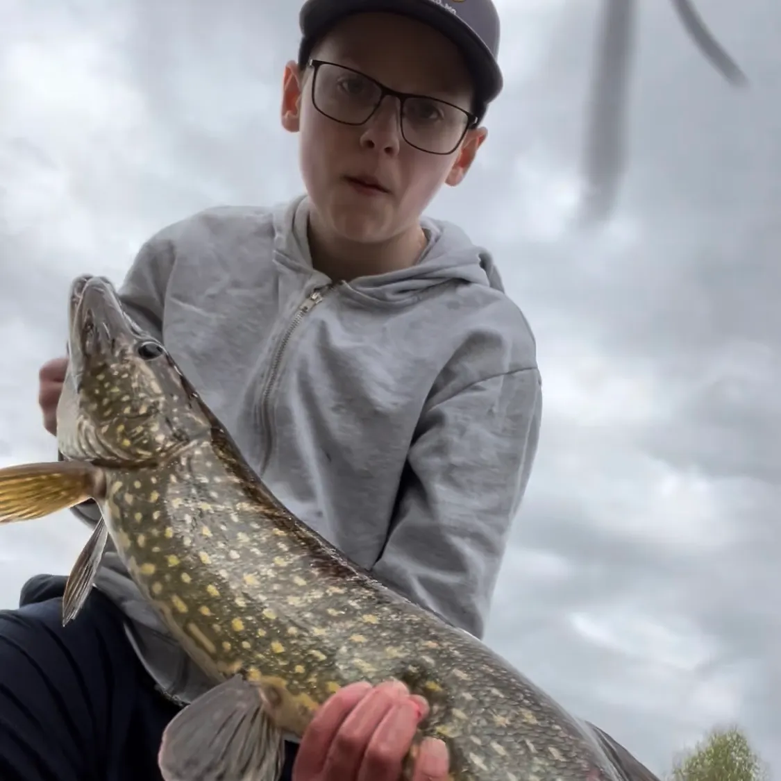Northern pike caught on Fishbrain
