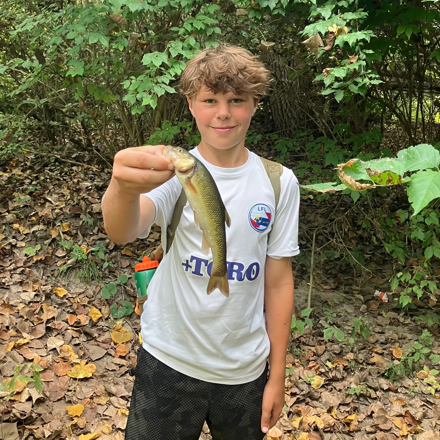 Hornyhead chub caught on Fishbrain