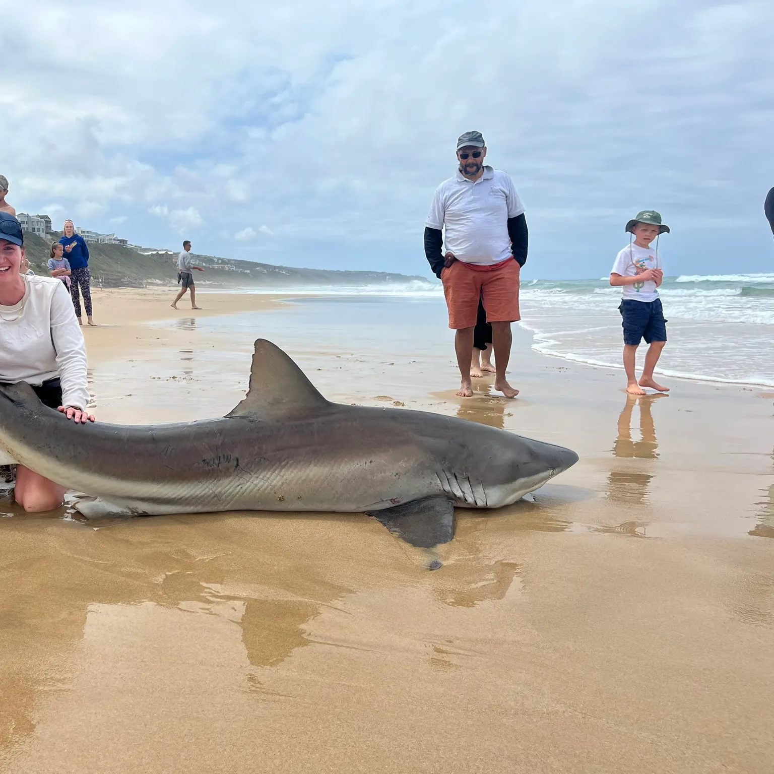 The most recent Copper shark catches on Fishbrain