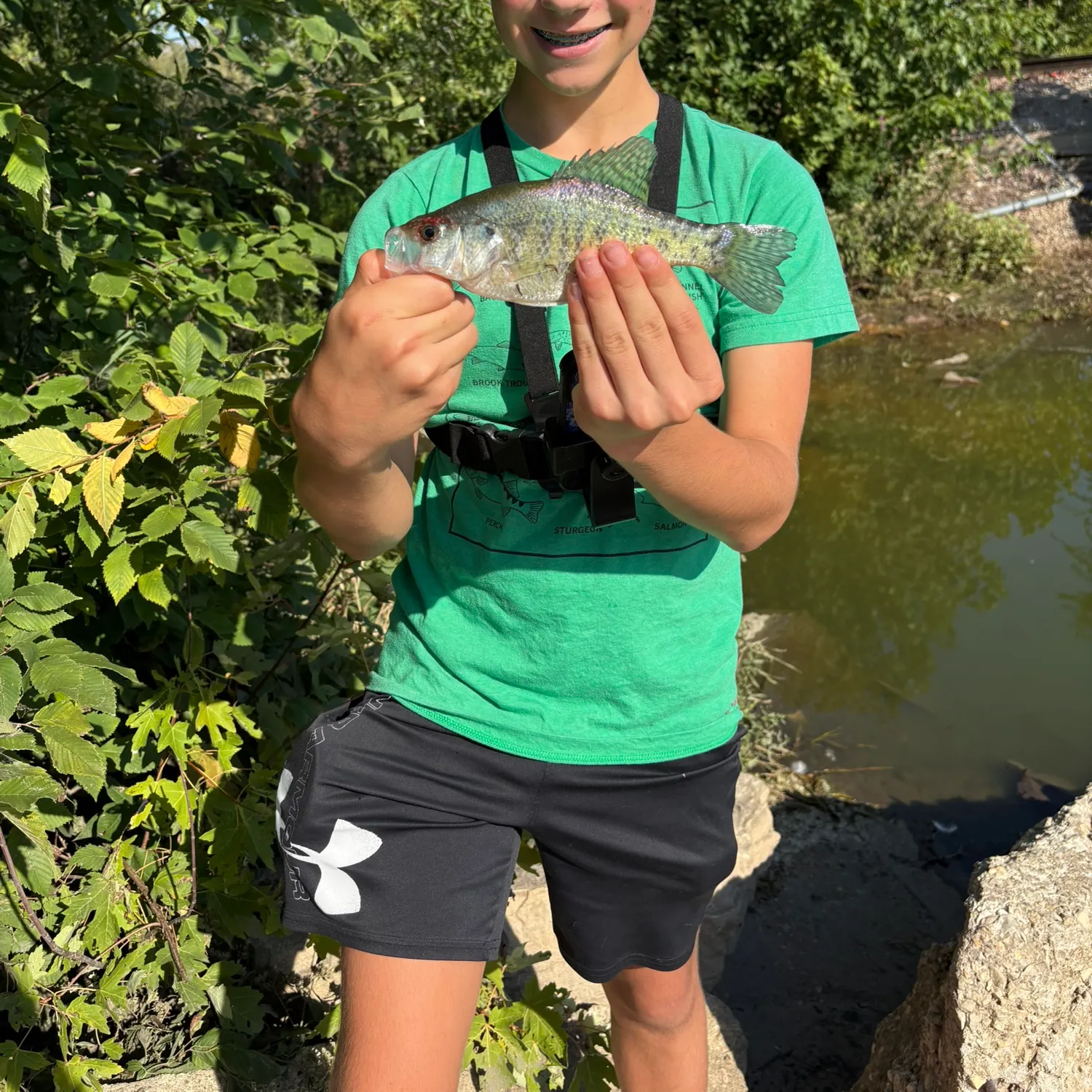 White crappie caught on Fishbrain