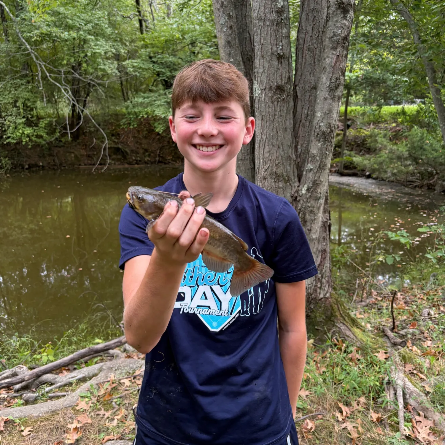 Brown bullhead caught on Fishbrain