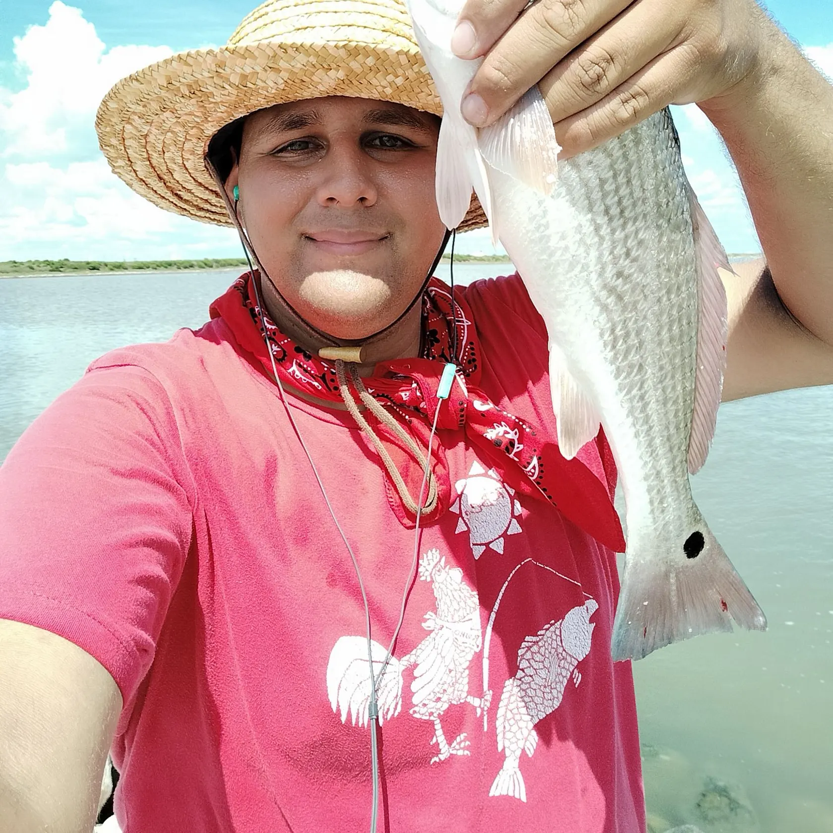 The most recent Red drum catches on Fishbrain