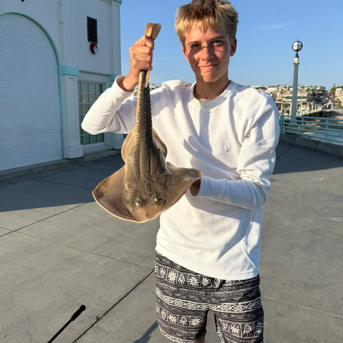 The most recent Thornback guitarfish catches on Fishbrain