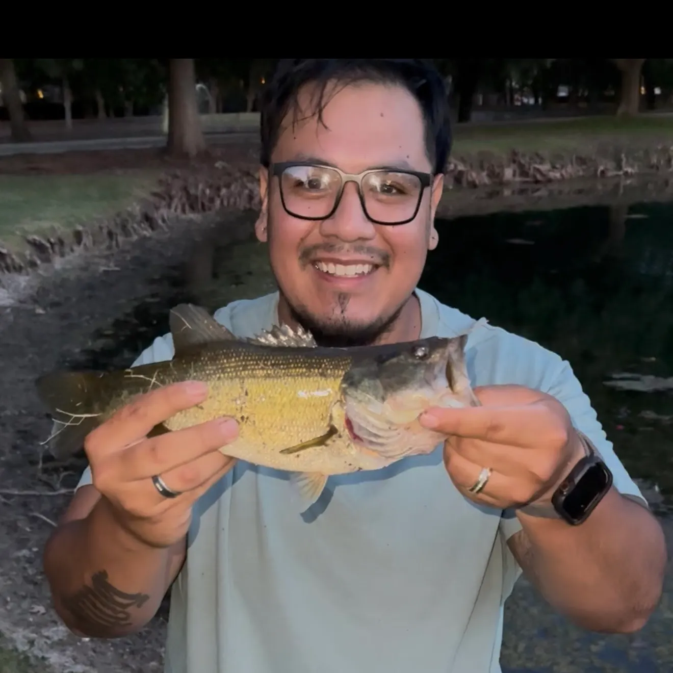 Largemouth bass caught on Fishbrain