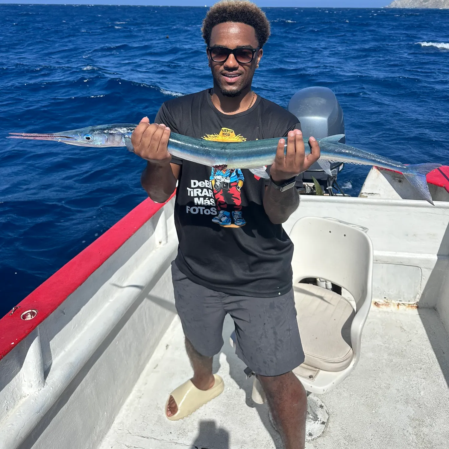 The most recent Flat needlefish catches on Fishbrain