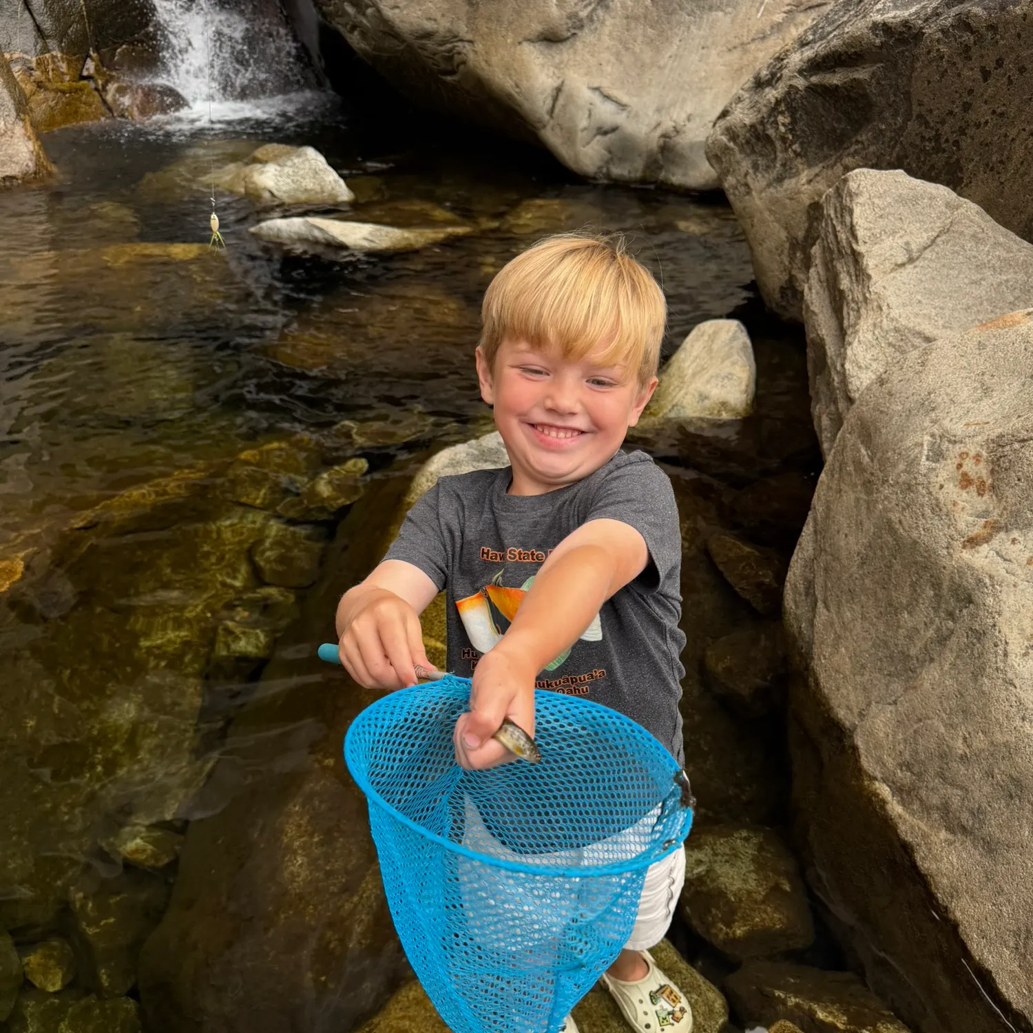Rainbow trout caught on Fishbrain