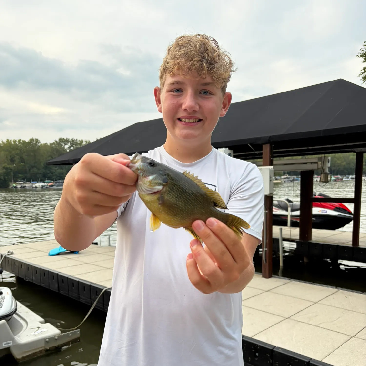 Green sunfish caught on Fishbrain