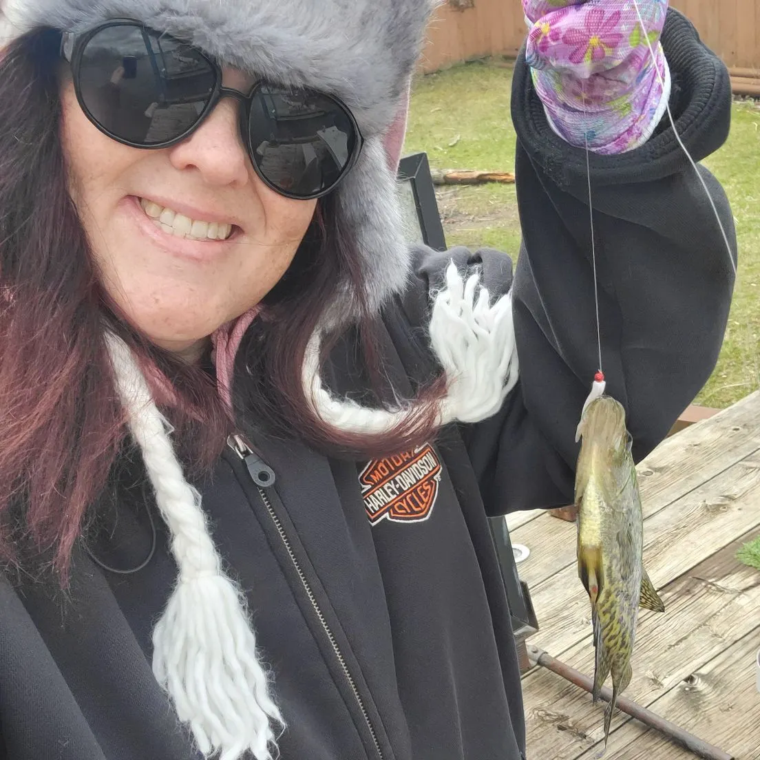 The most recent Burbot catches on Fishbrain