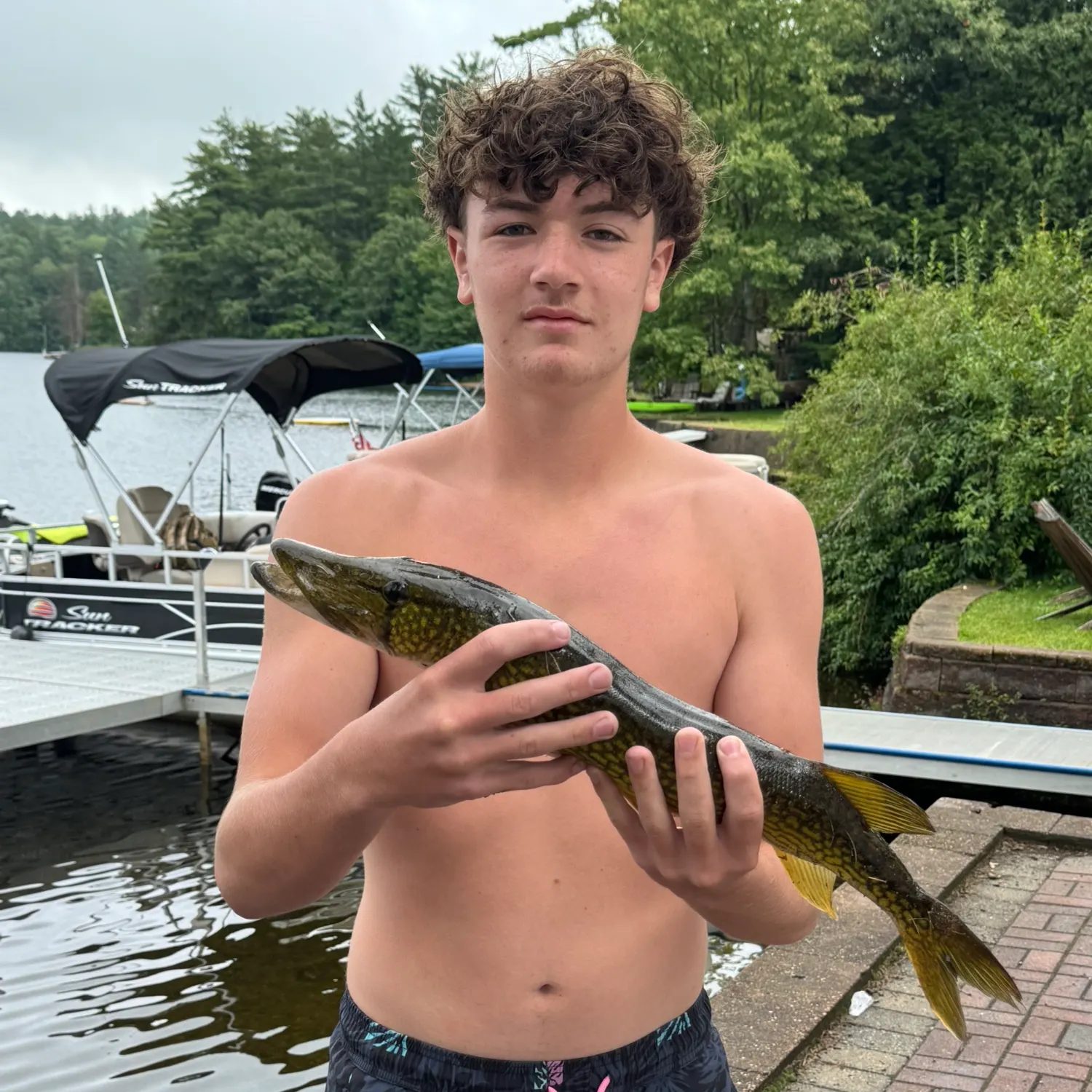 Chain pickerel caught on Fishbrain