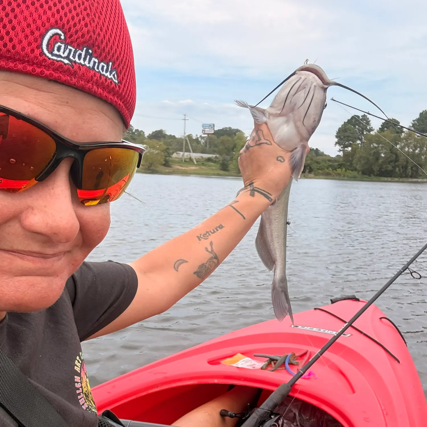 Channel catfish caught on Fishbrain