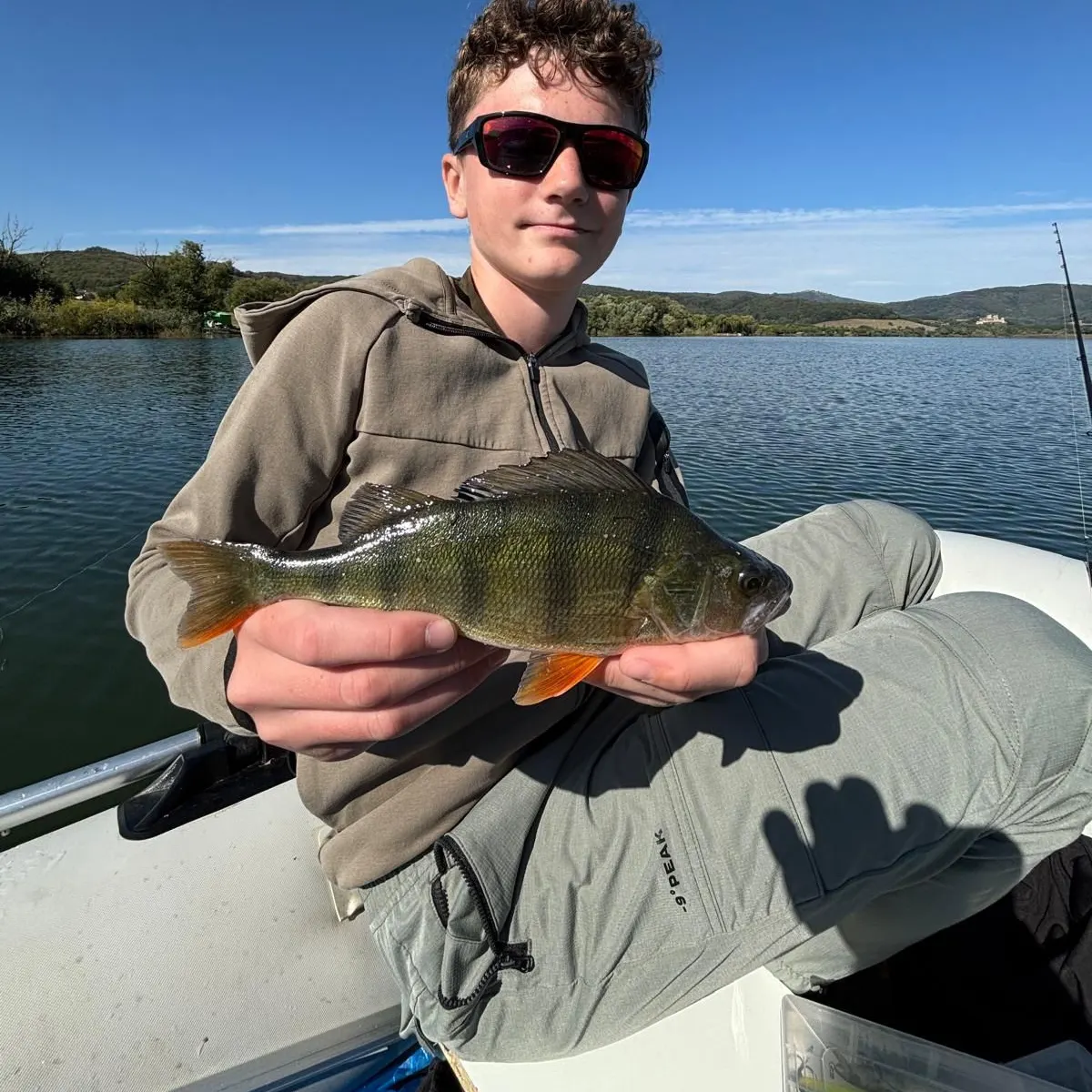 The most recent European perch catches on Fishbrain
