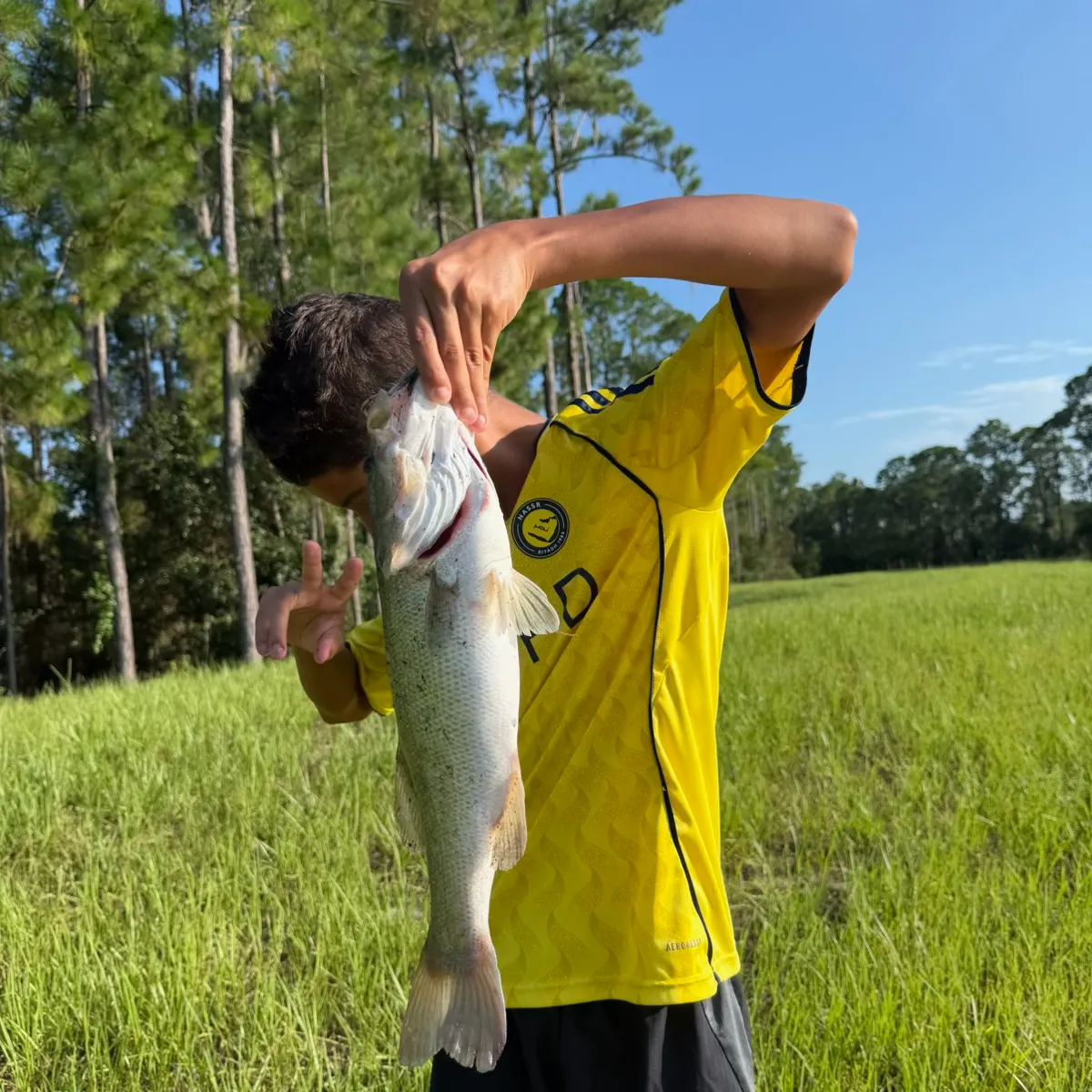 Largemouth bass caught on Fishbrain