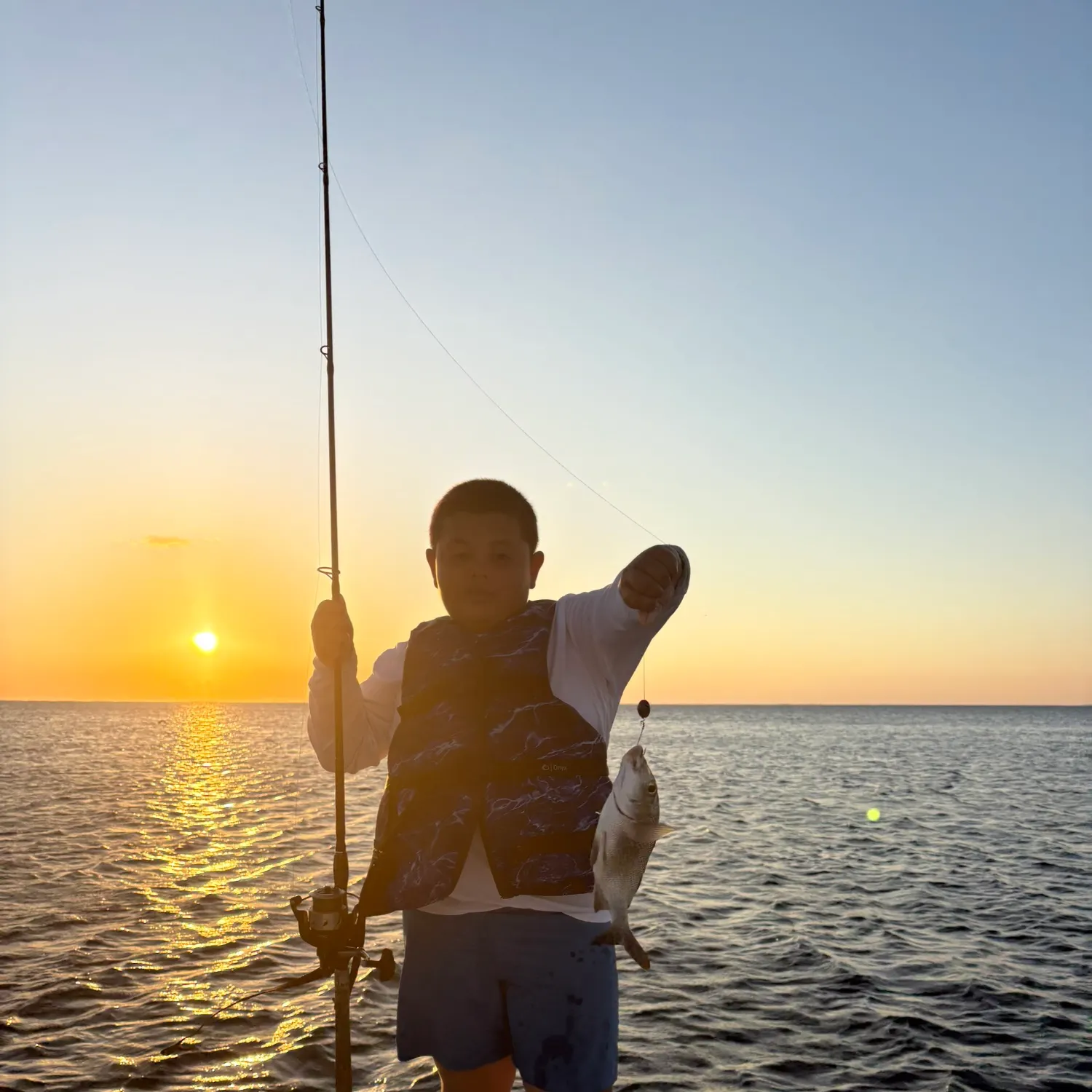 The most recent Tomtate grunt catches on Fishbrain